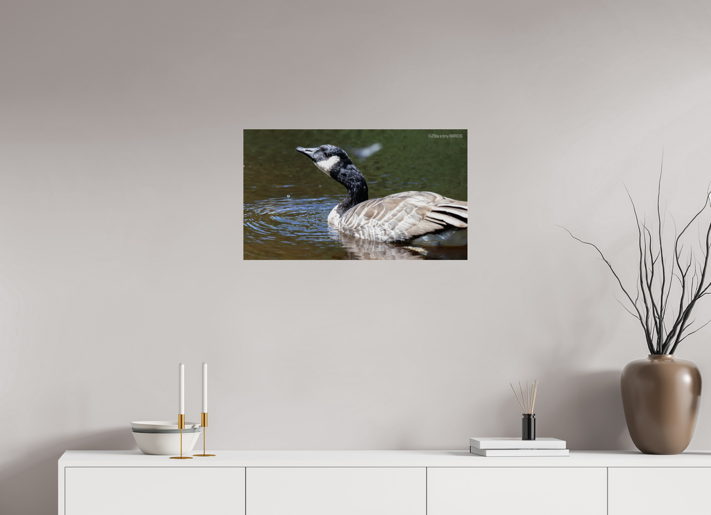 27.4 x 16″, Photo Print Under Acrylic Glass Zillas Zoom Image 315
