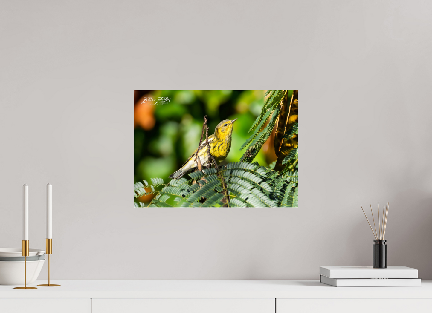 16.8 x 12″, Photo Print Under Acrylic Glass Zillas Zoom Image 290