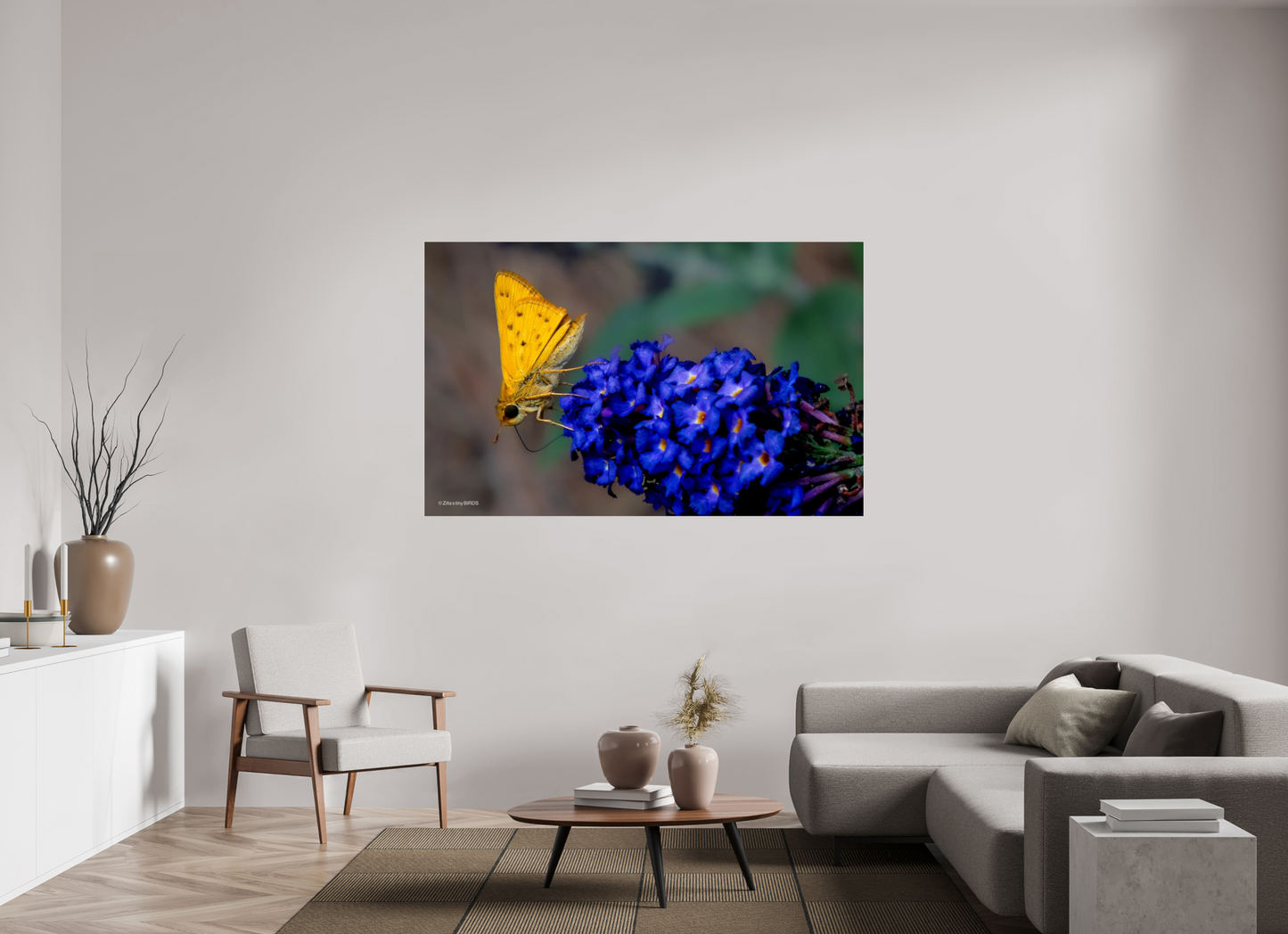 68.8 x 43″, Photo Print Under Acrylic Glass Zillas Zoom Image 61
