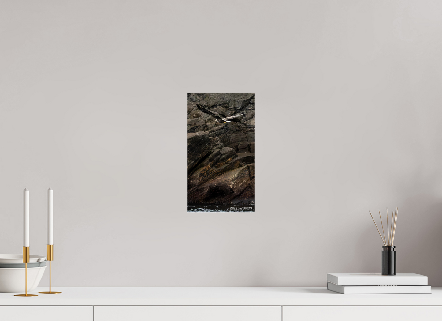 6.8 x 12″, Photo Print Under Acrylic Glass Zillas Zoom Image 244