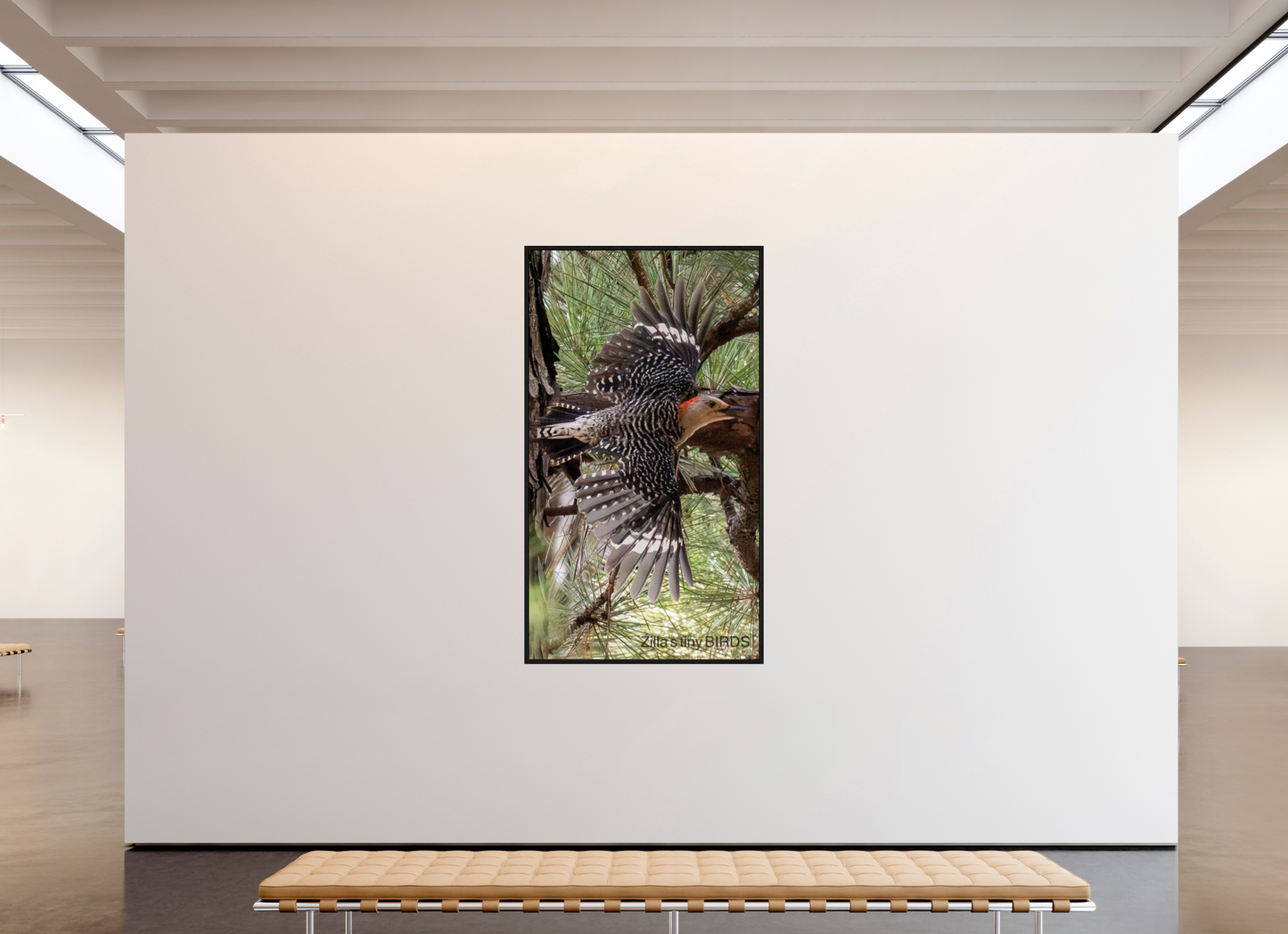 45 x 80″, Floater Frame Zillas Zoom Image 477