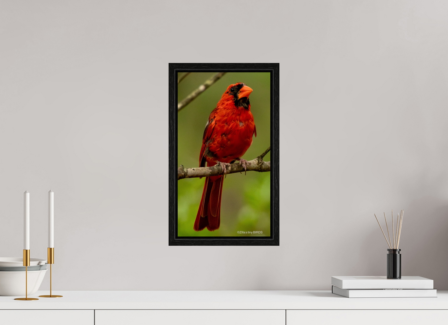 9 x 16″, Floater Frame Zillas Zoom Image 397