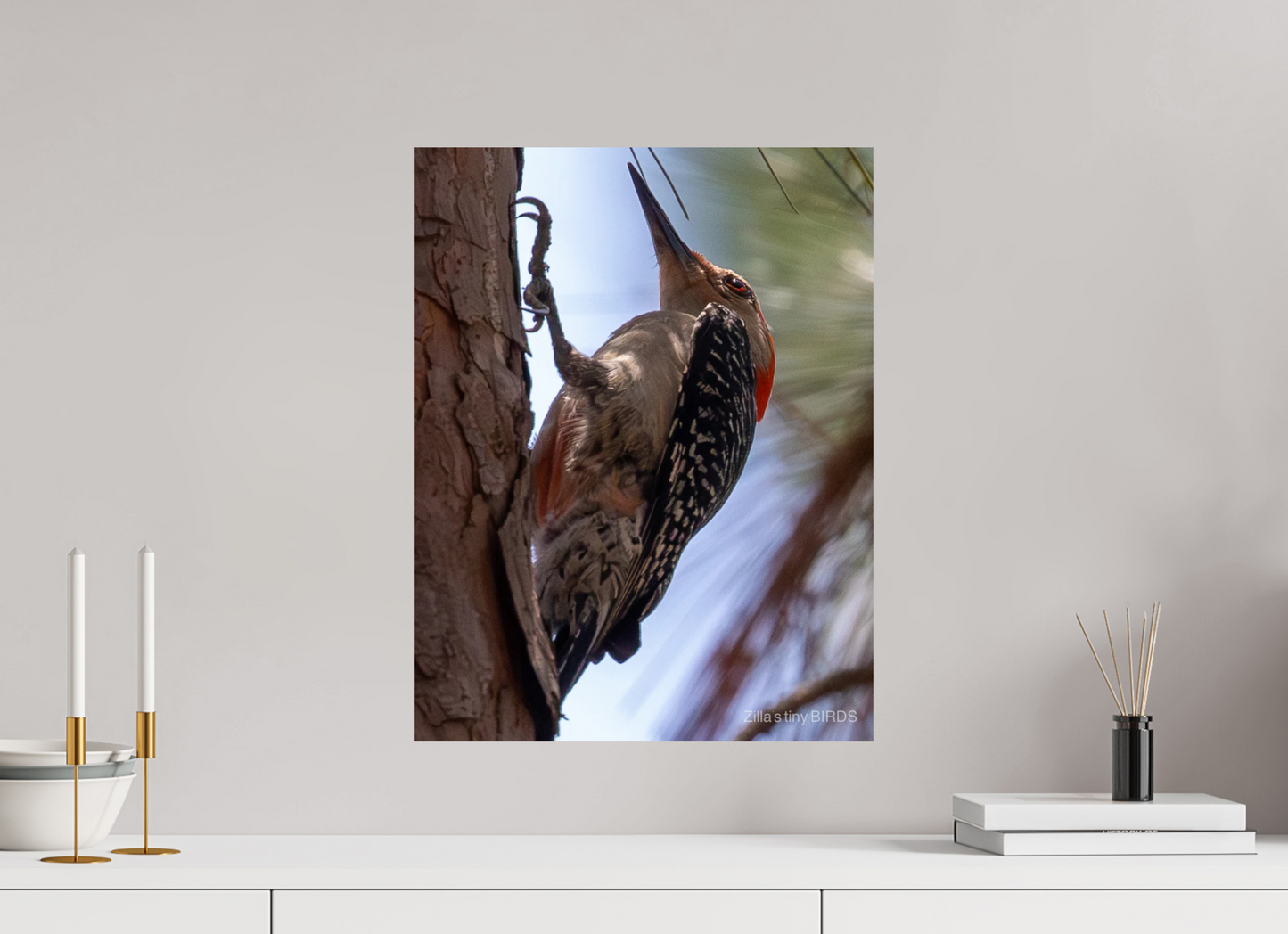 16 x 20.7″, Photo Print On Fuji Crystal DP II Zillas Zoom Image 474