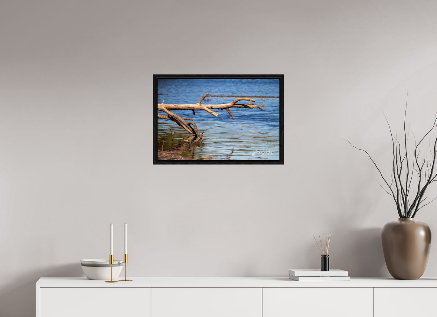 24 x 16″, Floater Frame Zillas Zoom Image 213