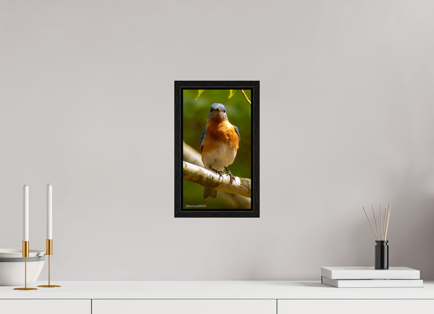 6.8 x 12″, Floater Frame Zillas Zoom Image 481
