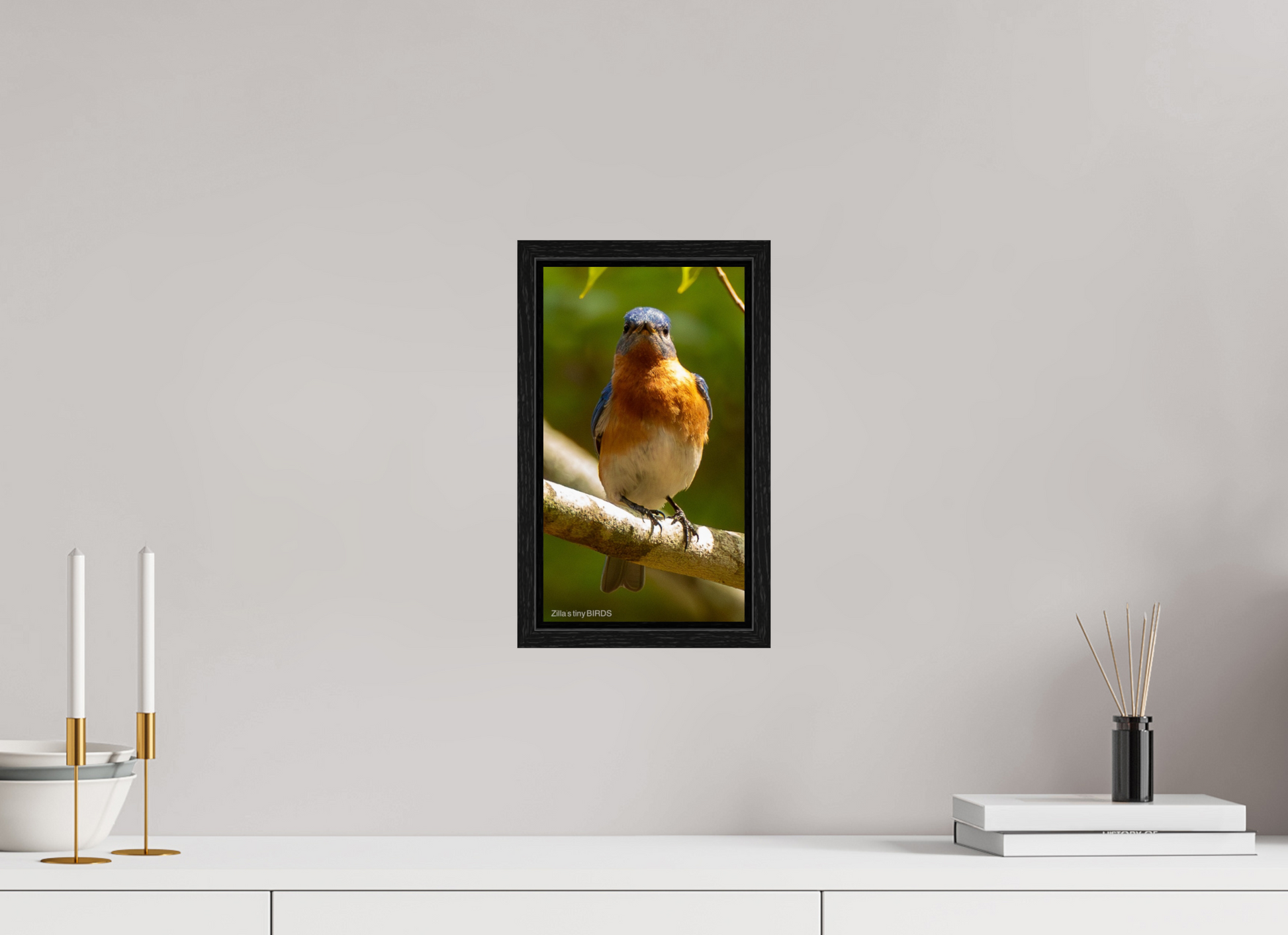 6.8 x 12″, Floater Frame Zillas Zoom Image 481