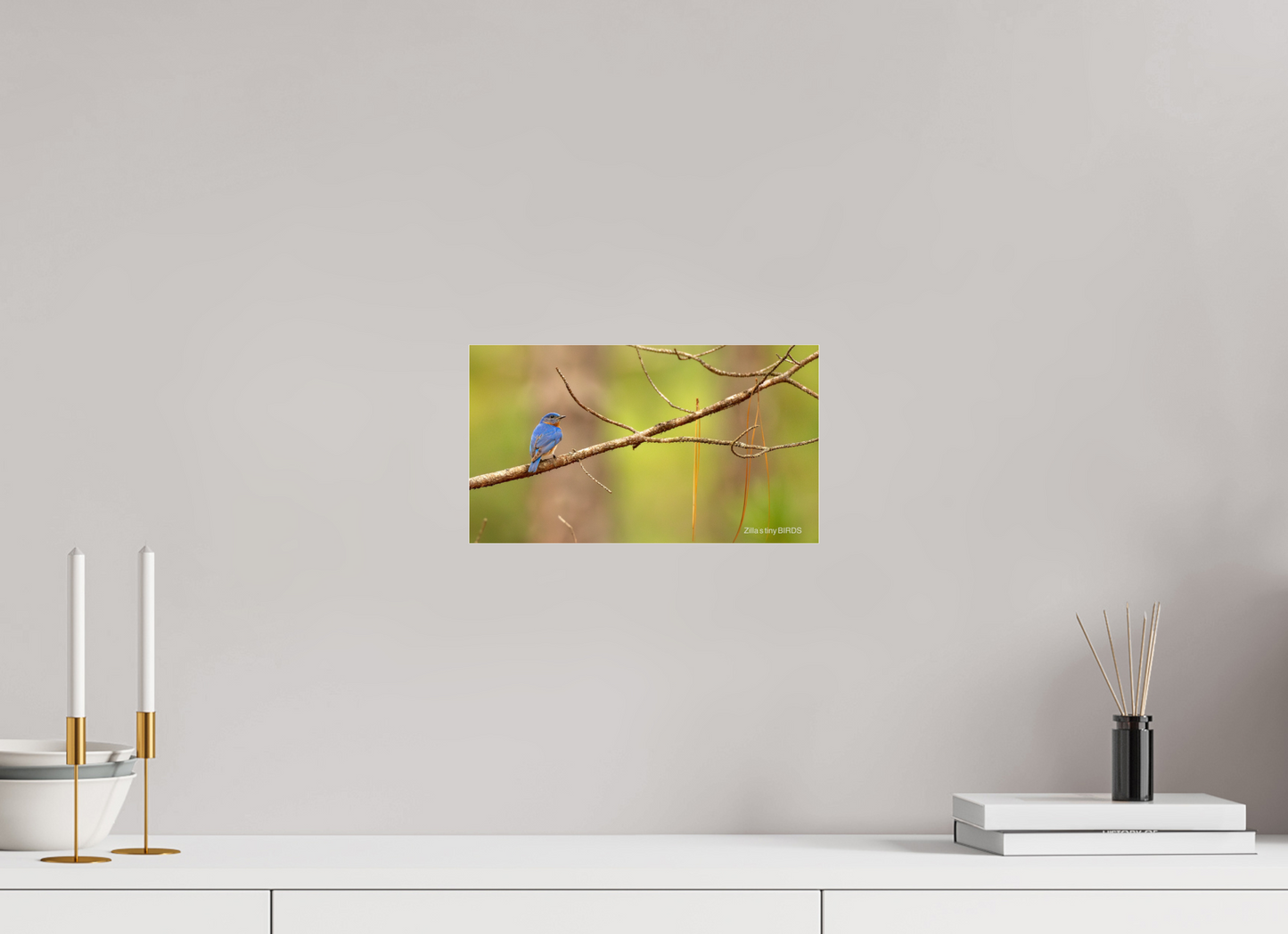 12 x 6.8″, Photo Print Under Acrylic Glass Zillas Zoom Image 382