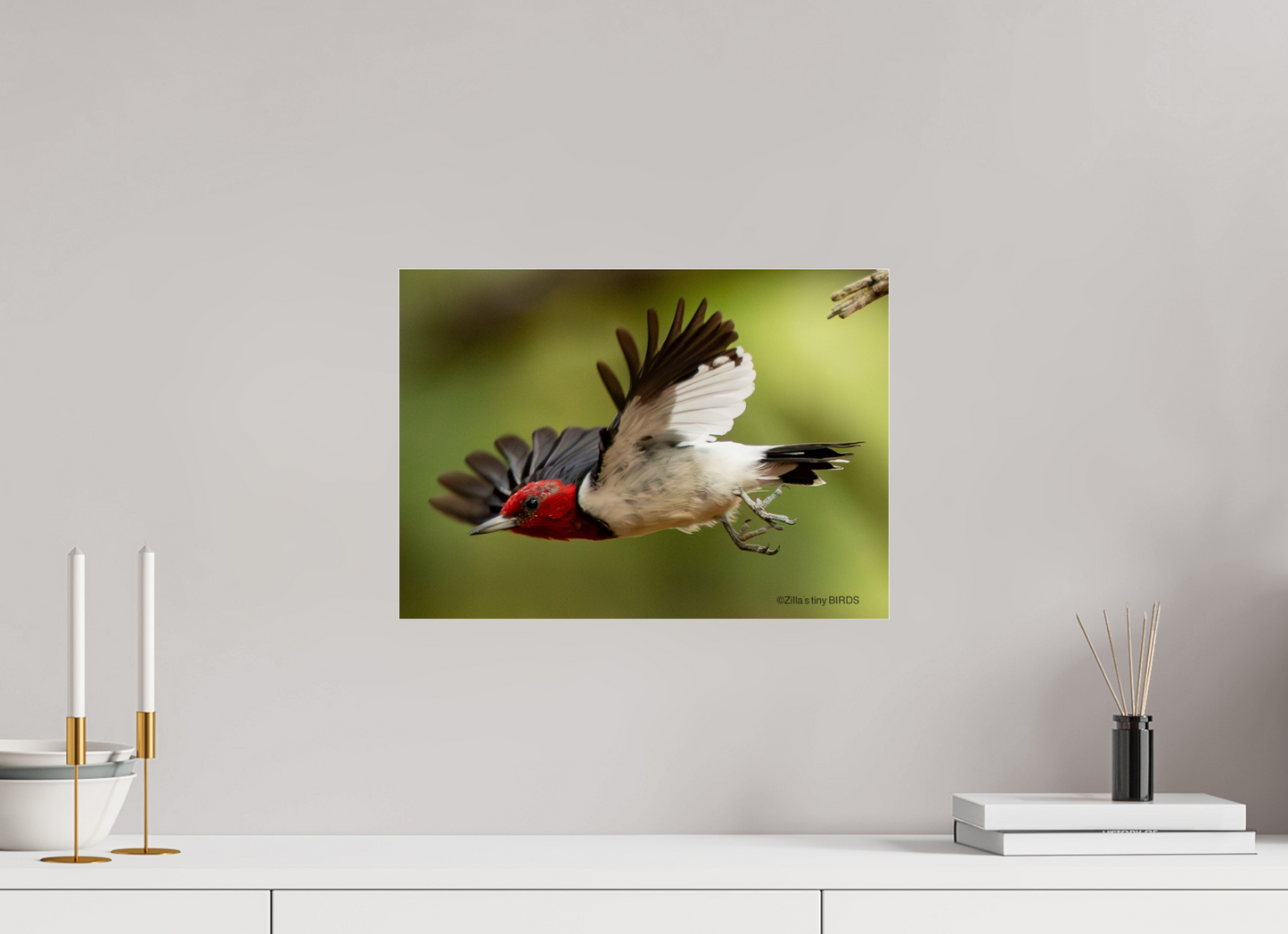 16.8 x 12″, Photo Print Under Acrylic Glass Zillas Zoom Image 274