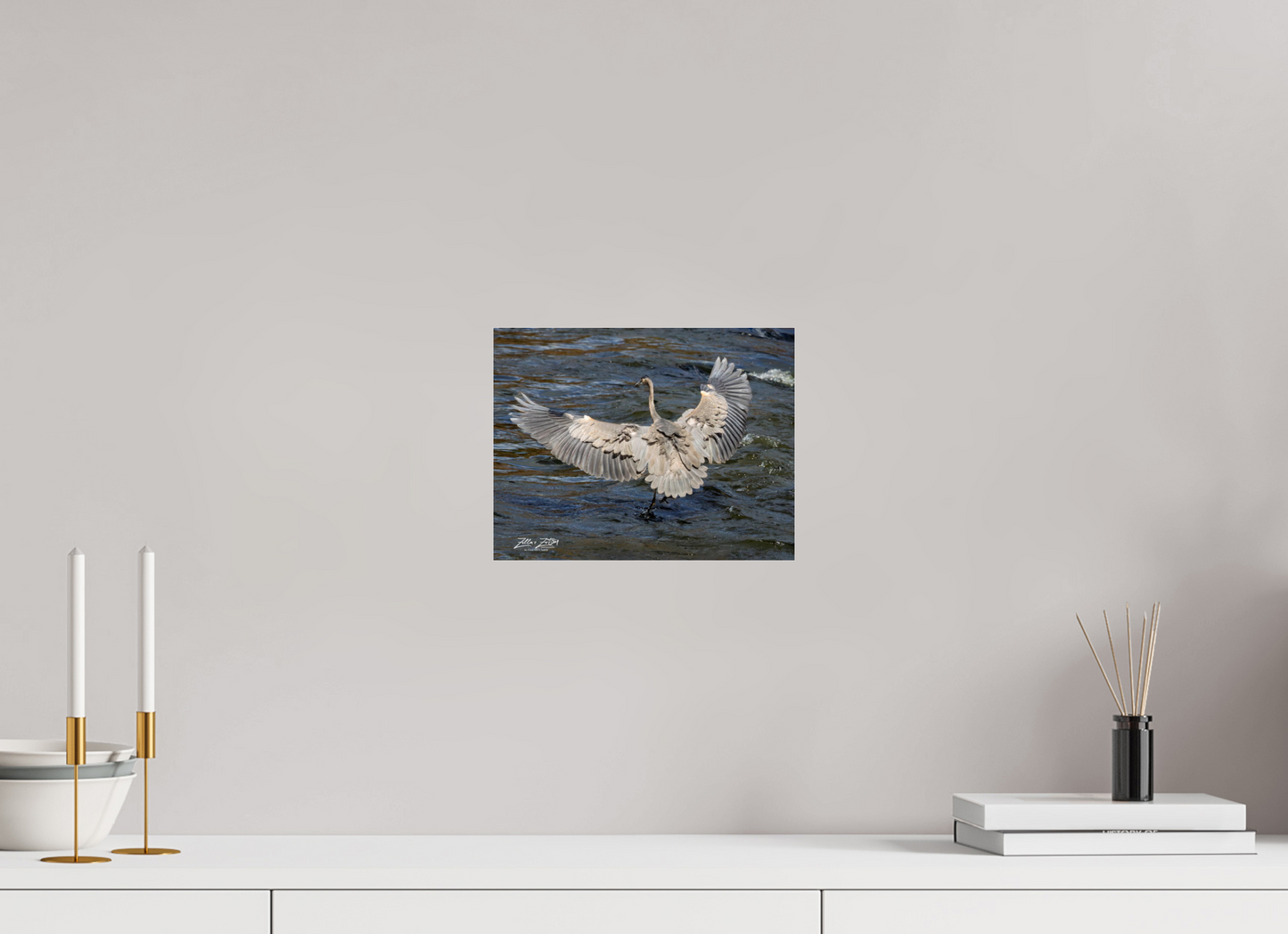 10.4 x 8″, Photo Print Under Acrylic Glass Zillas Zoom Image 287