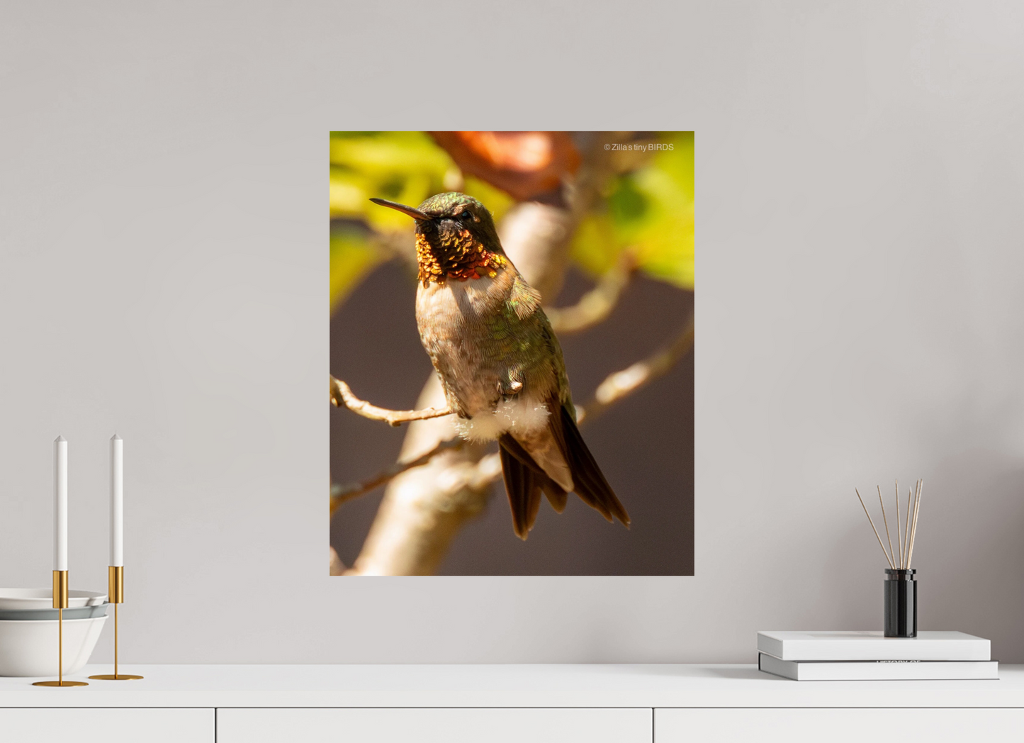 16 x 19.5″, Photo Print On Fuji Crystal DP II Zillas Zoom Image 454