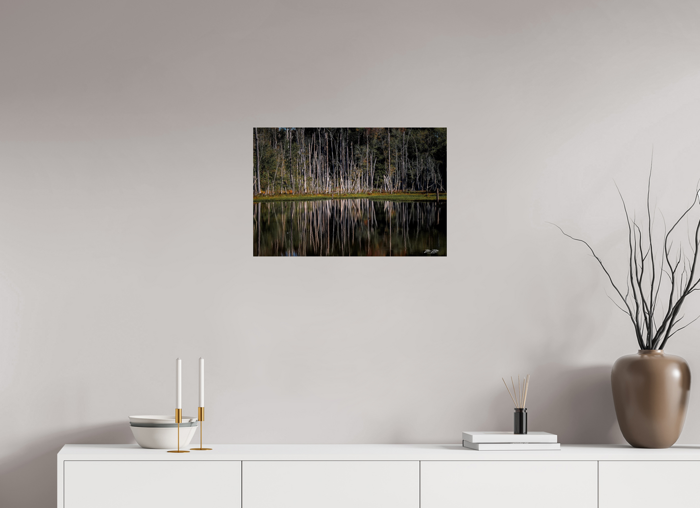 24 x 16″, Photo Print Under Acrylic Glass Zillas Zoom Image 238