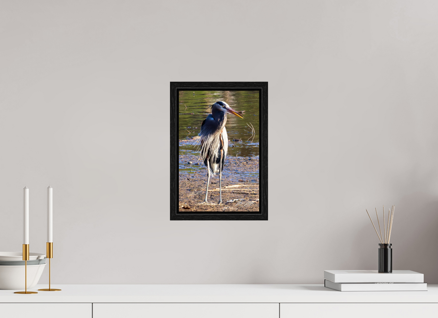 8 x 12″, Floater Frame Zillas Zoom Image 412