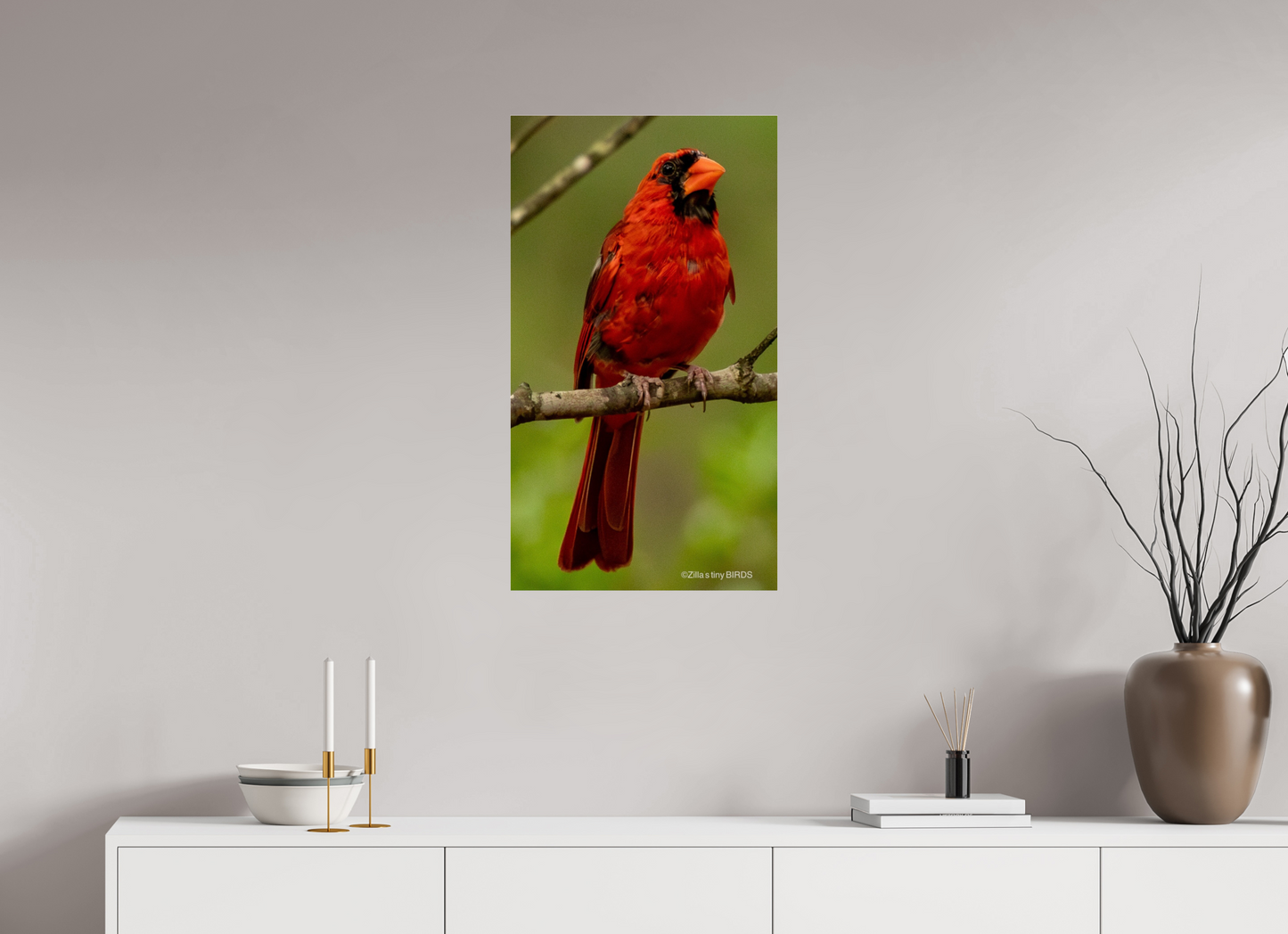 18 x 32″, Photo Print Under Acrylic Glass Zillas Zoom Image 397