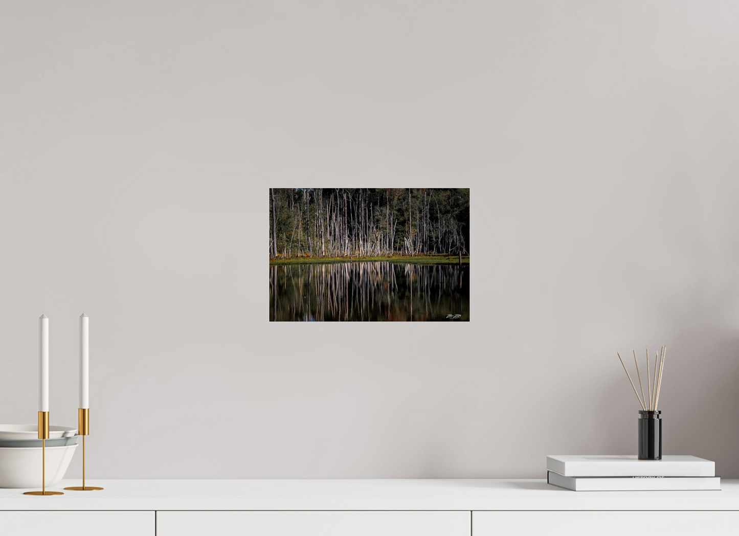 12 x 8″, Photo Print Under Acrylic Glass Zillas Zoom Image 238