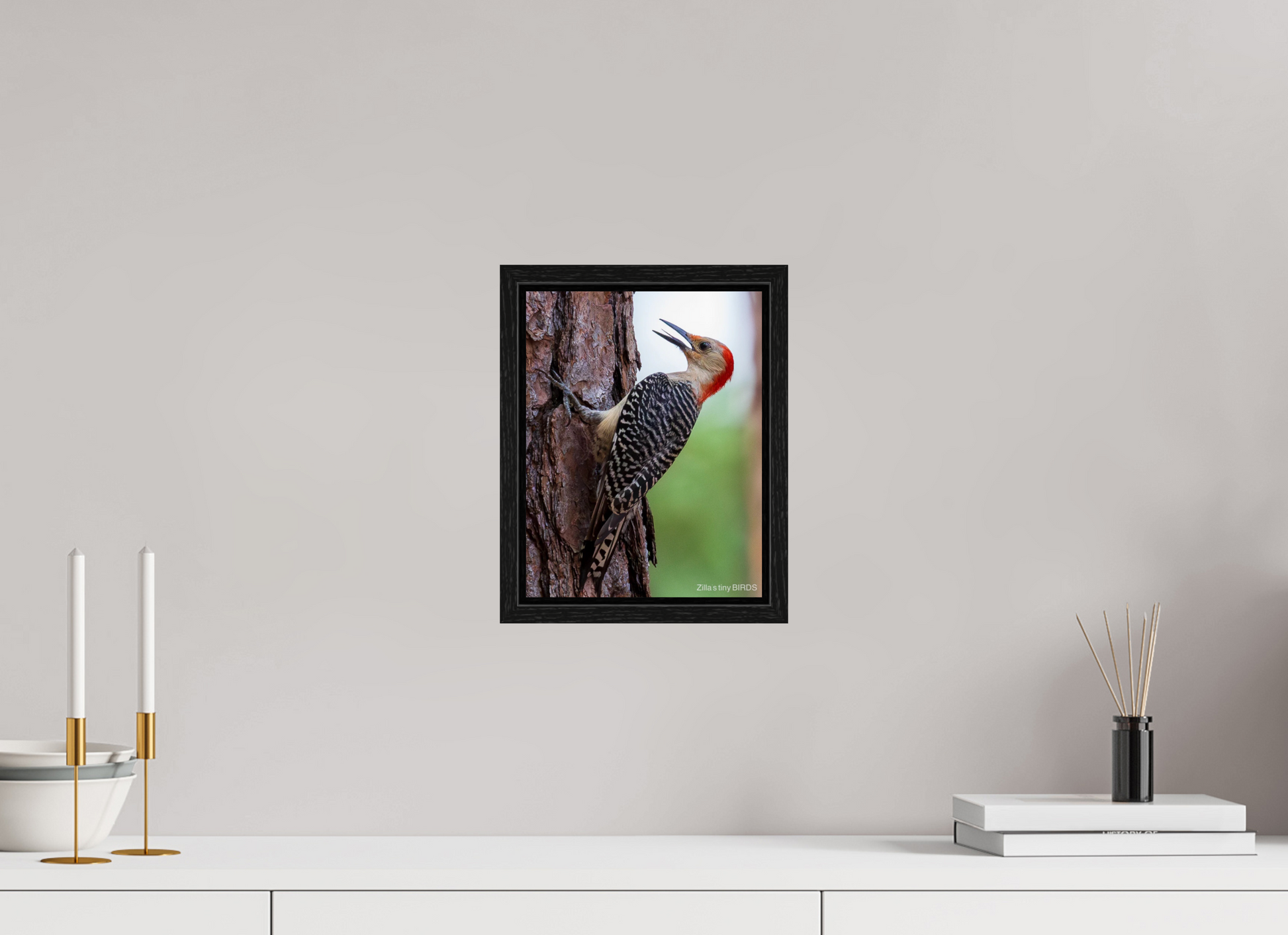 8 x 10.4″, Floater Frame Zillas Zoom Image 475
