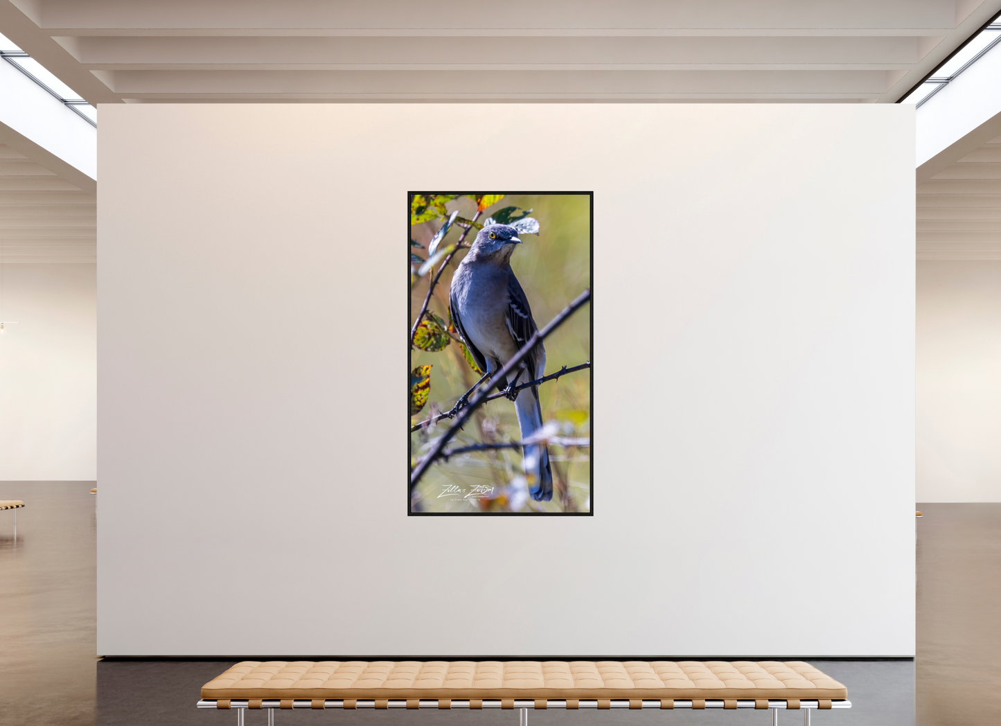 45 x 80″, Floater Frame Zillas Zoom Image 408
