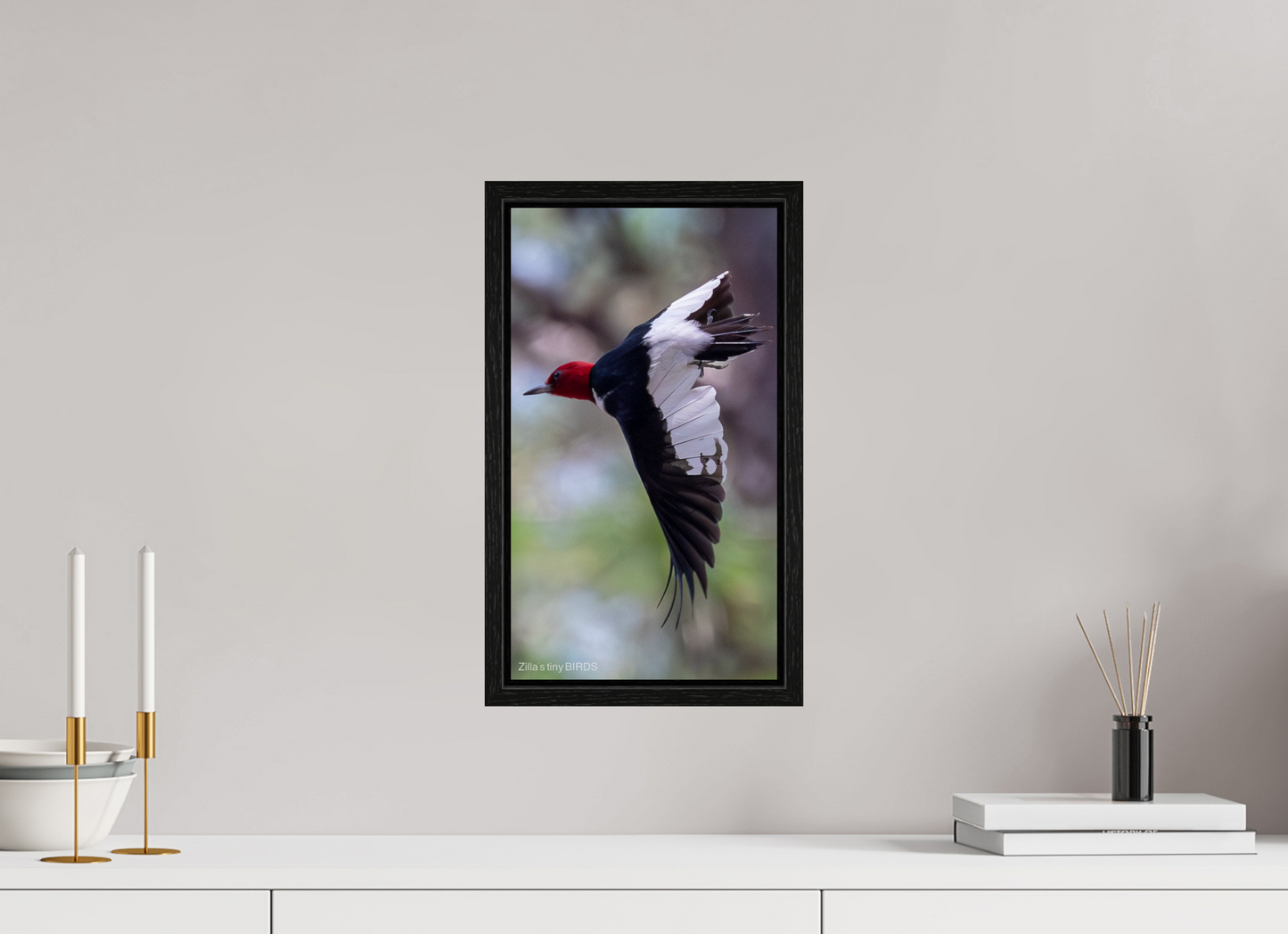 9 x 16″, Floater Frame Zillas Zoom Image 482