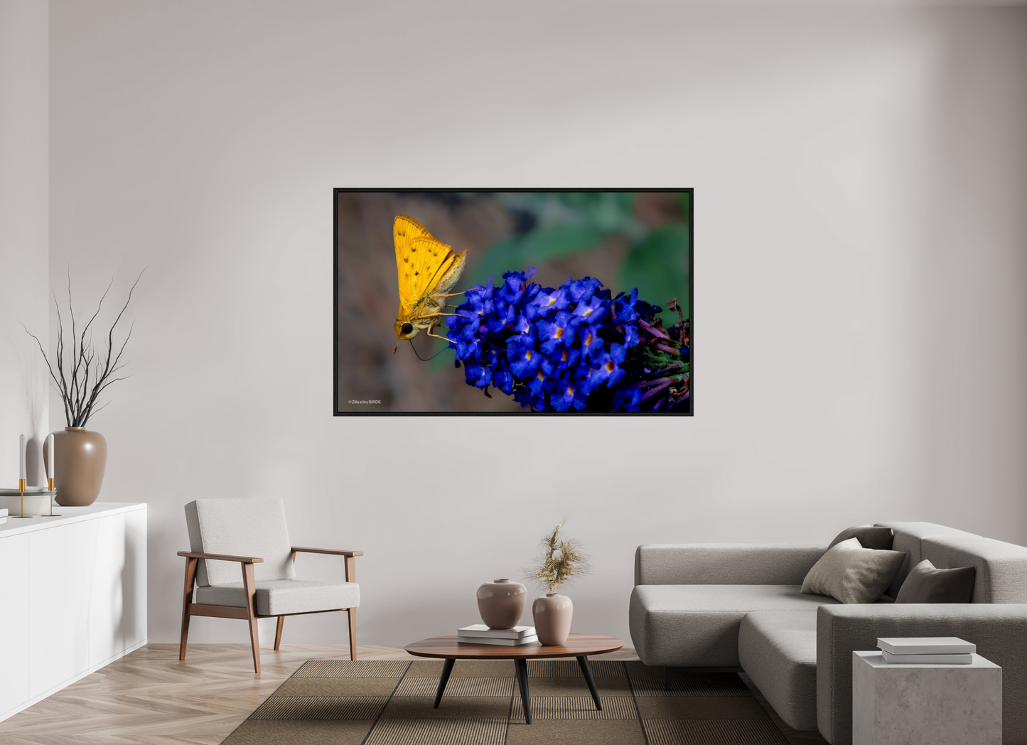 68.8 x 43″, Floater Frame Zillas Zoom Image 61