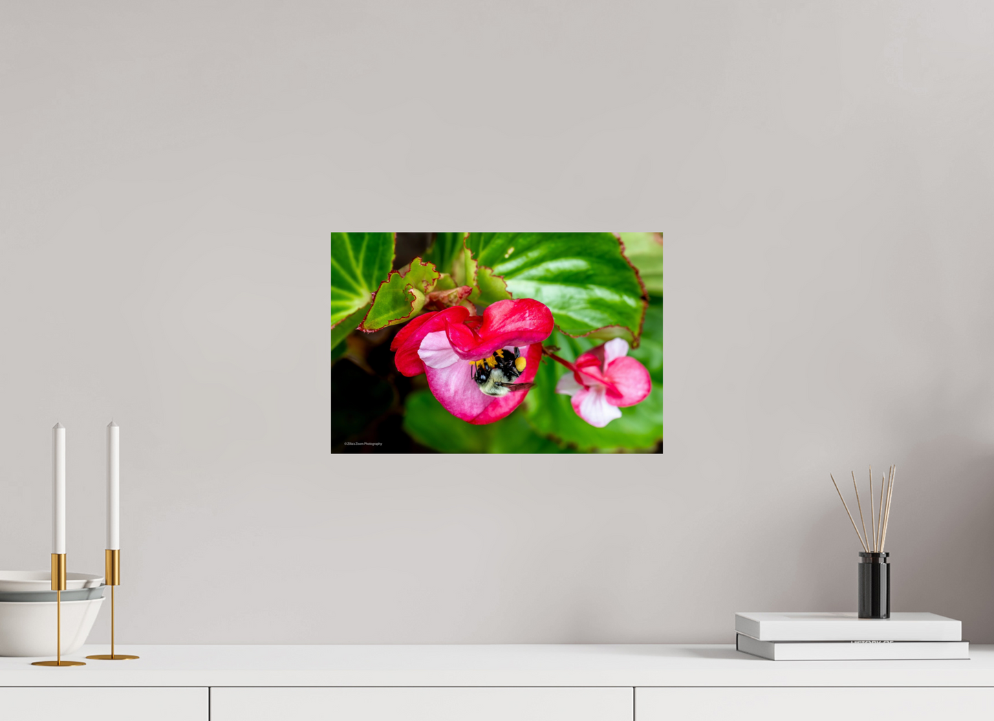 15 x 10″, Photo Print On Fuji Crystal DP II Zillas Zoom Image 96