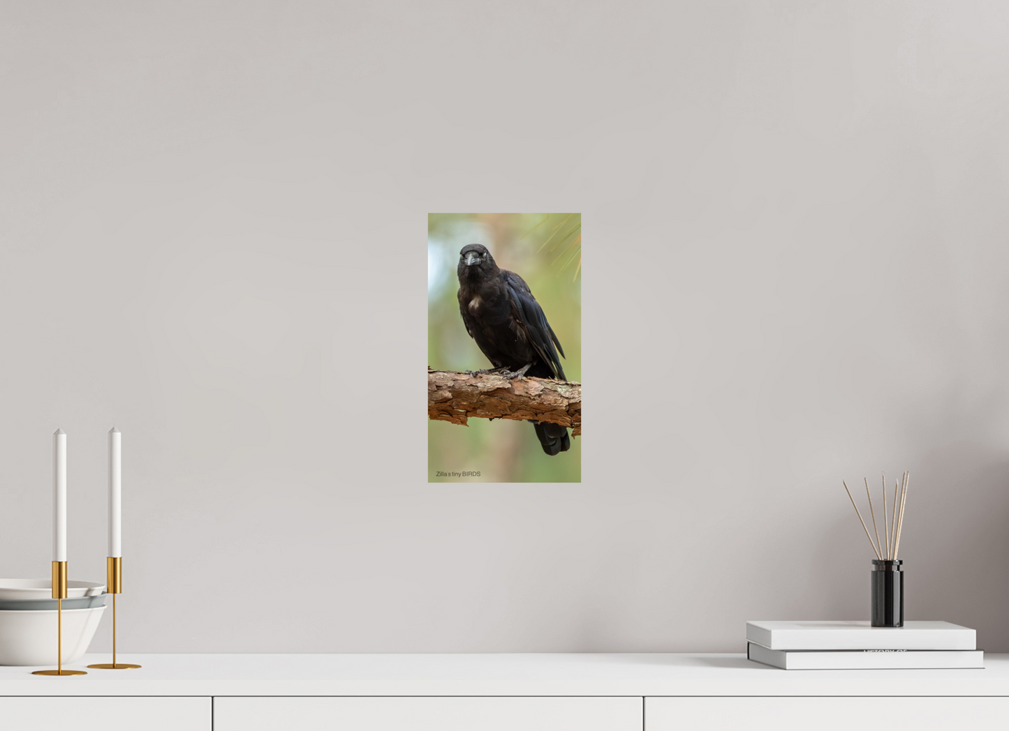 6.8 x 12″, Photo Print On Fuji Crystal DP II Zillas Zoom Image 478