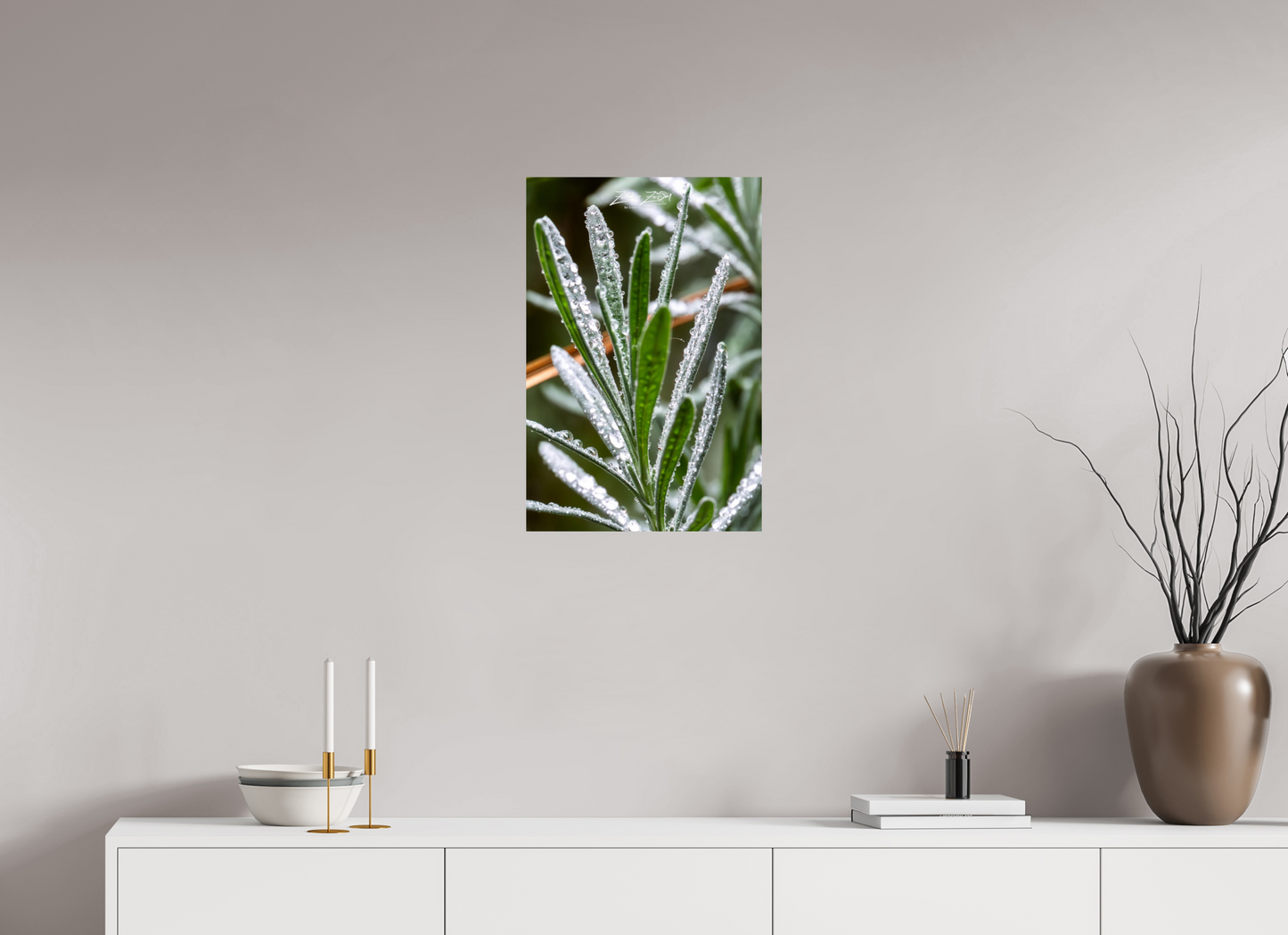 16 x 24″, Photo Print On Fuji Crystal DP II Zillas Zoom Image 110