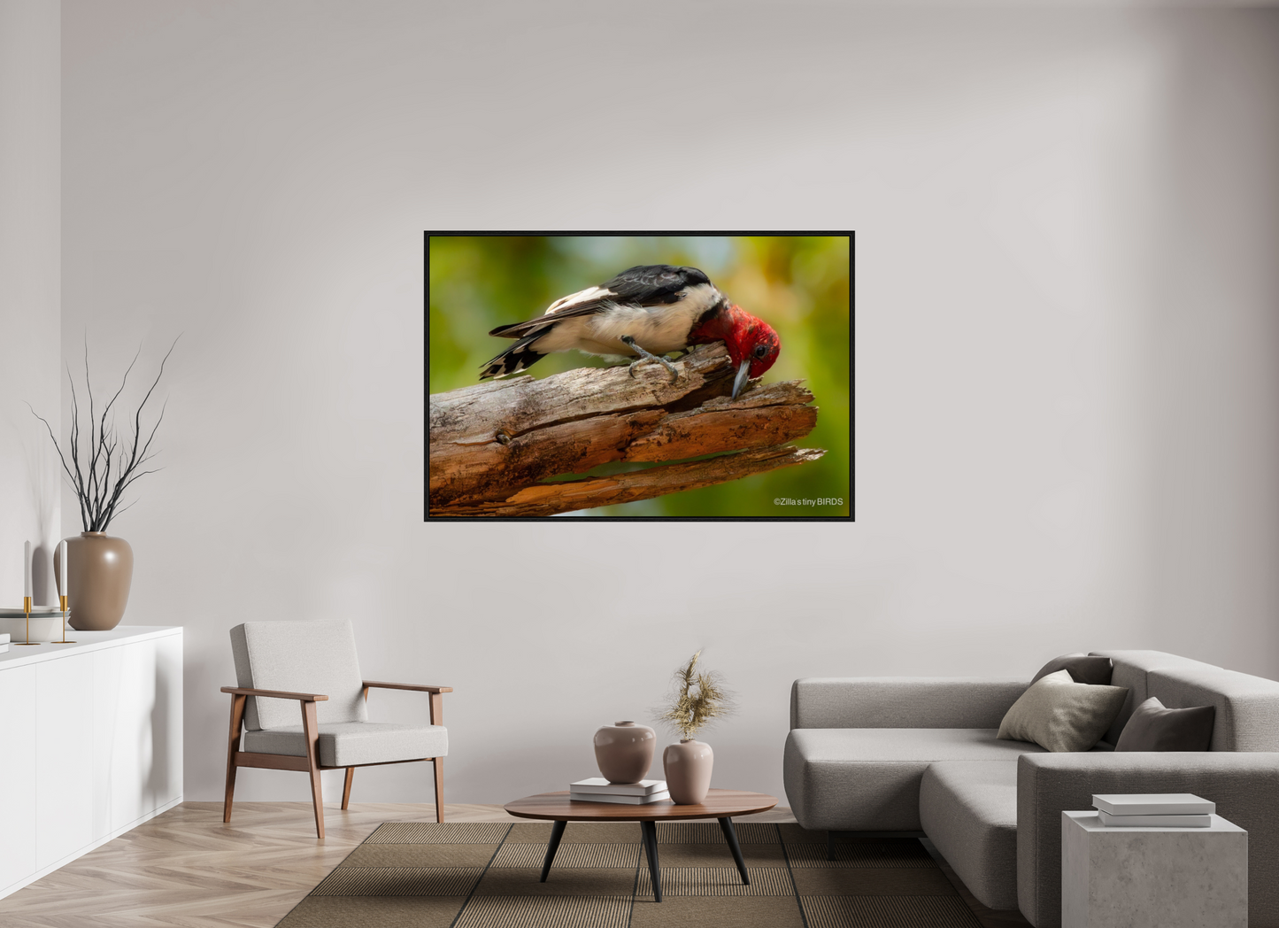 66 x 44″, Floater Frame Zillas Zoom Image 329