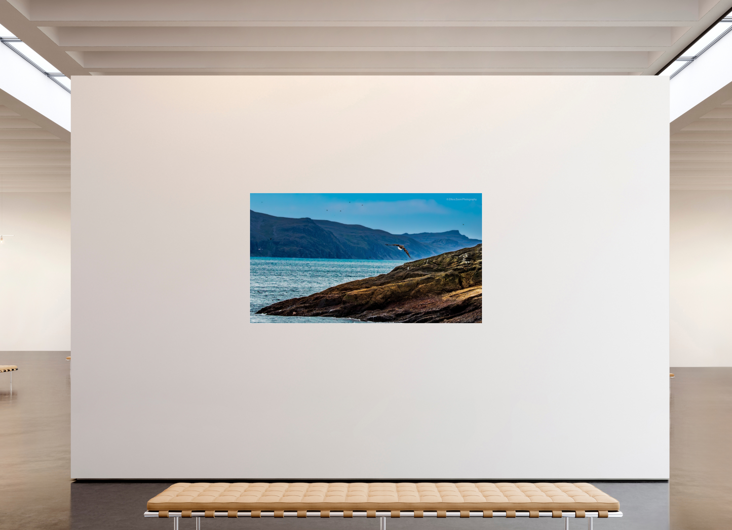 80 x 45″, Photo Print Under Acrylic Glass Zillas Zoom Image 220