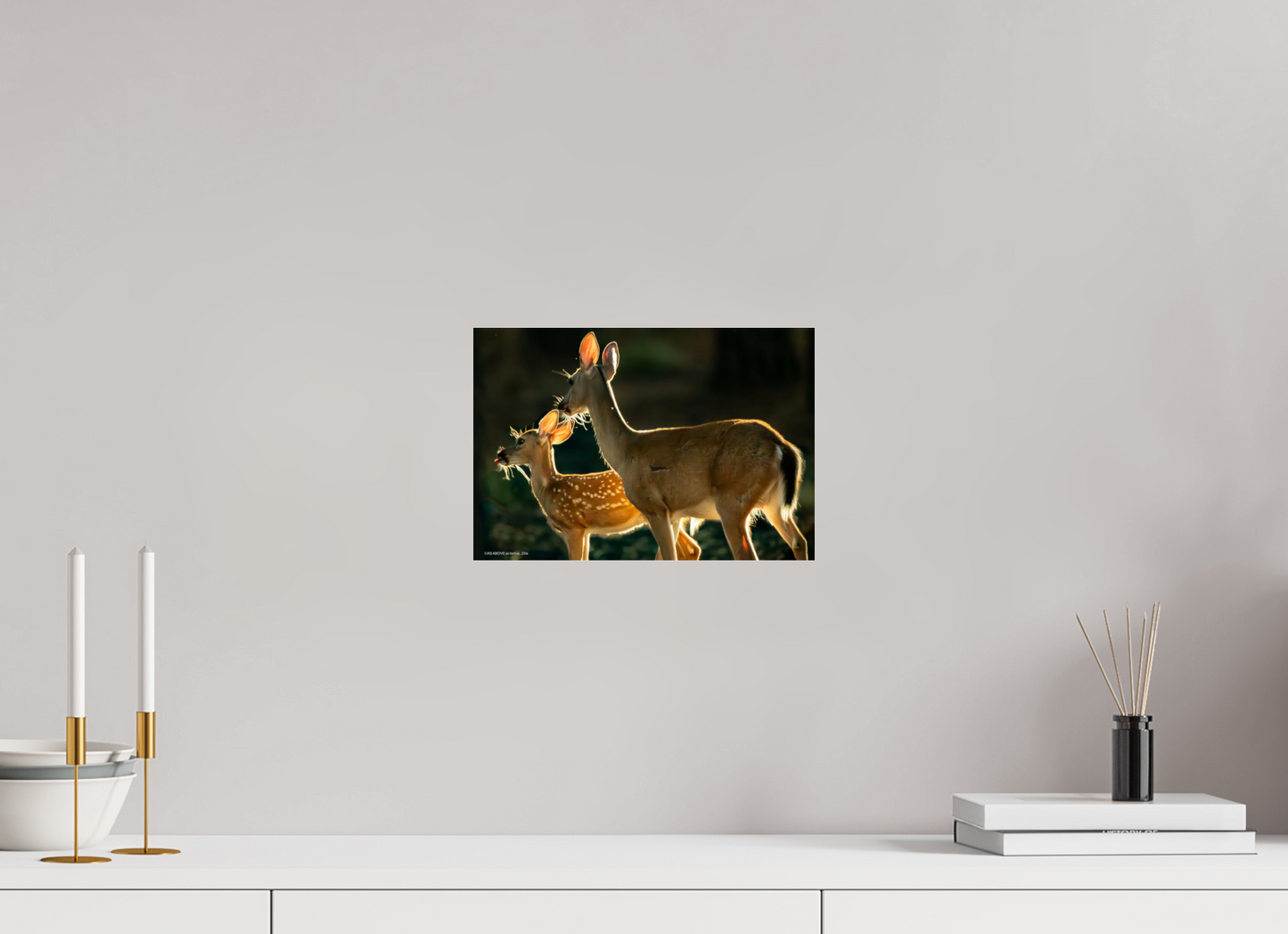 11.7 x 8″, Photo Print Under Acrylic Glass Zillas zoom image 146