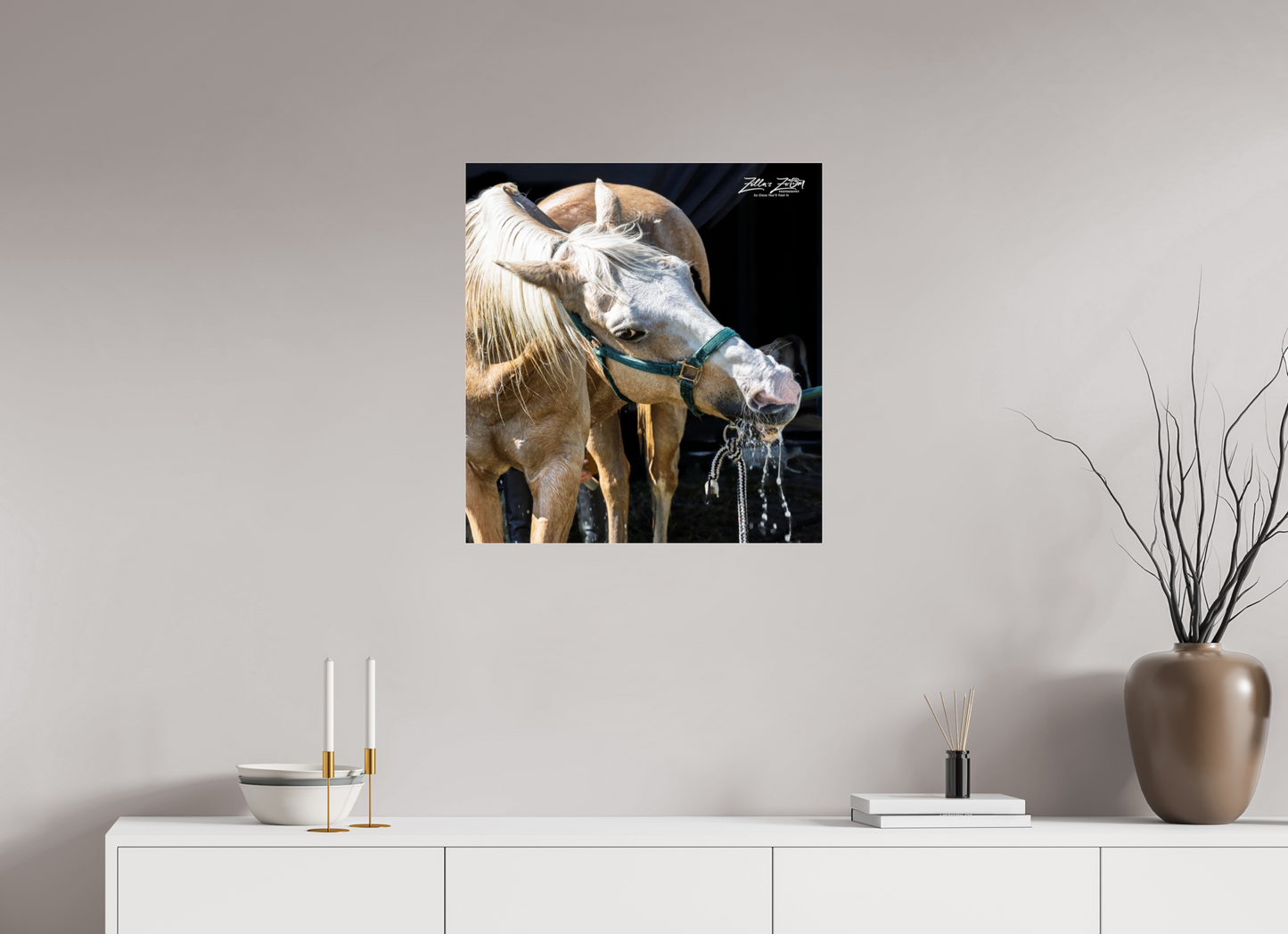 24 x 25.6″, Photo Print Under Acrylic Glass Zillas zoom image 148