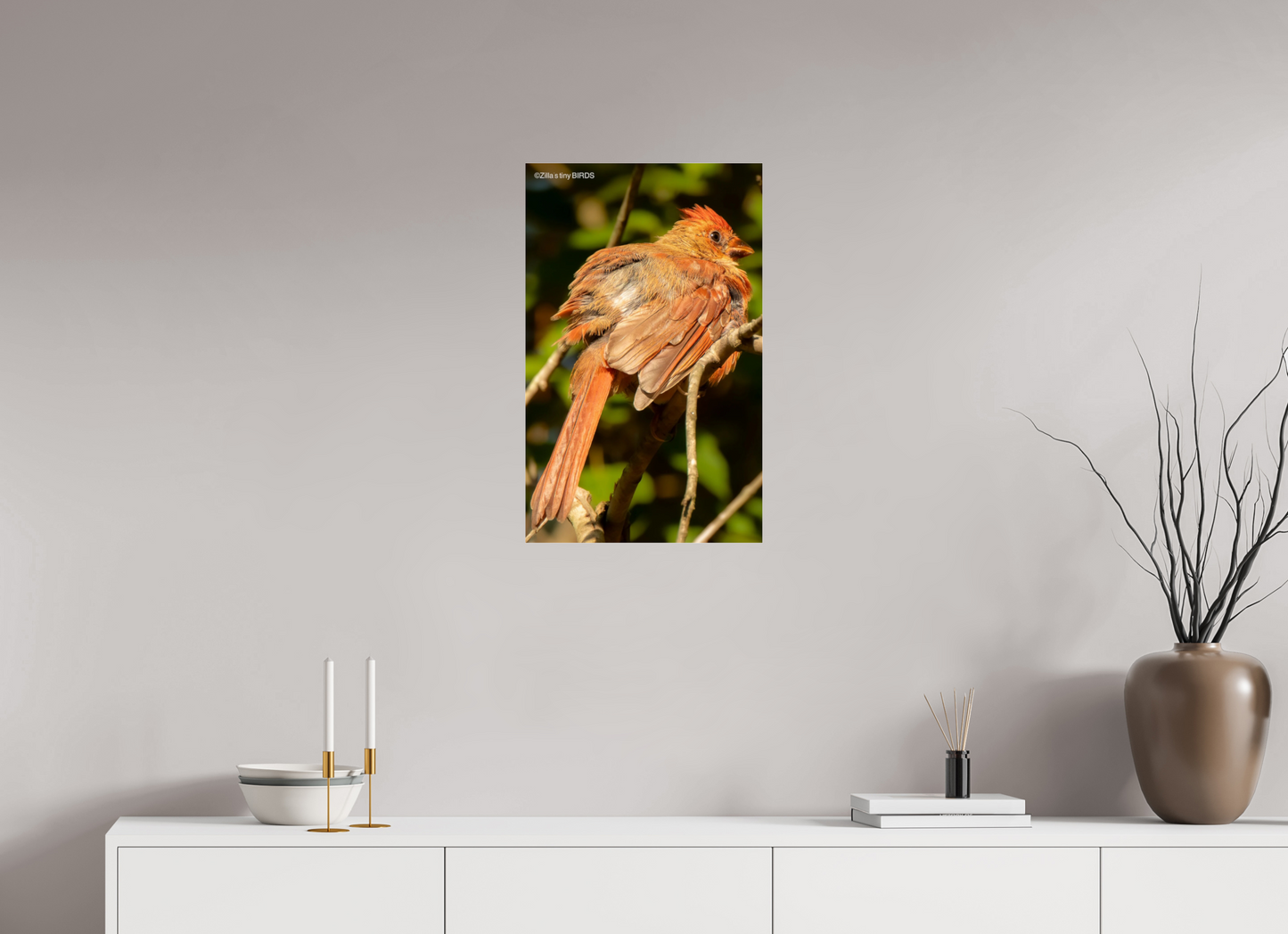 16 x 25.6″, Photo Print Under Acrylic Glass Zillas Zoom Image 403