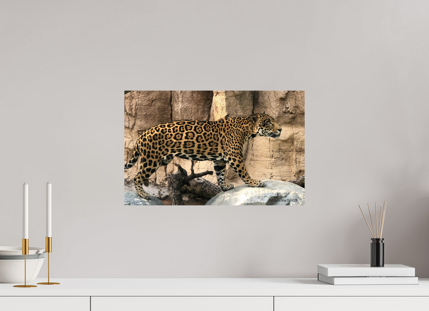18.9 x 12″, Photo Print On Fuji Crystal DP II Zillas zoom image 139