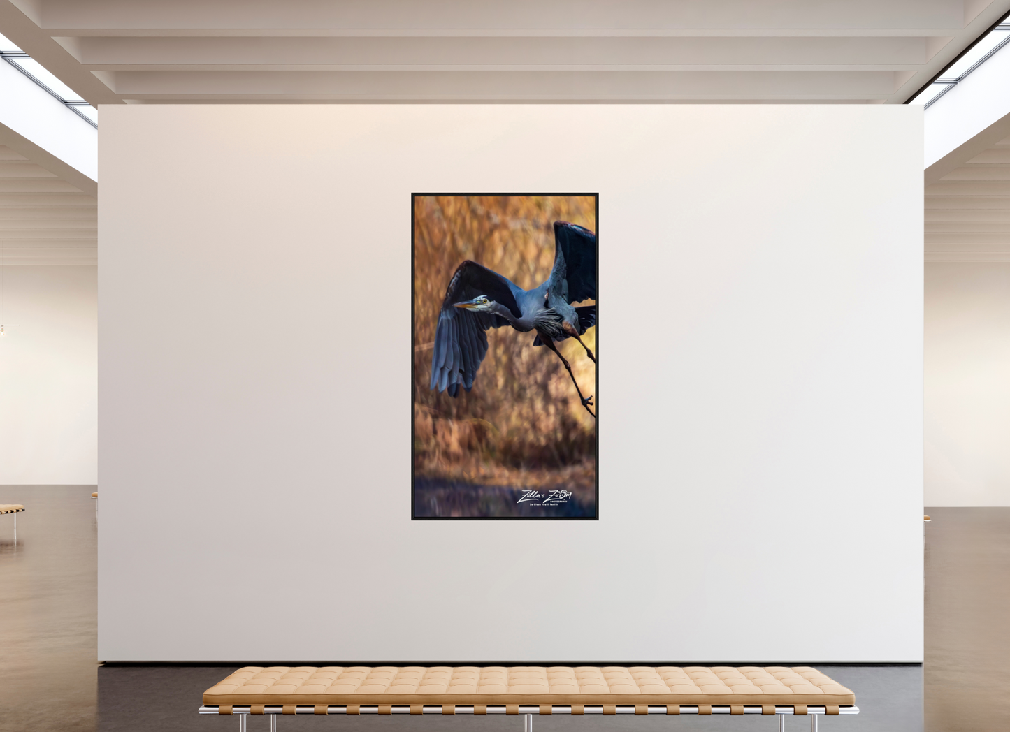 45 x 80″, Floater Frame Zillas Zoom Image 424