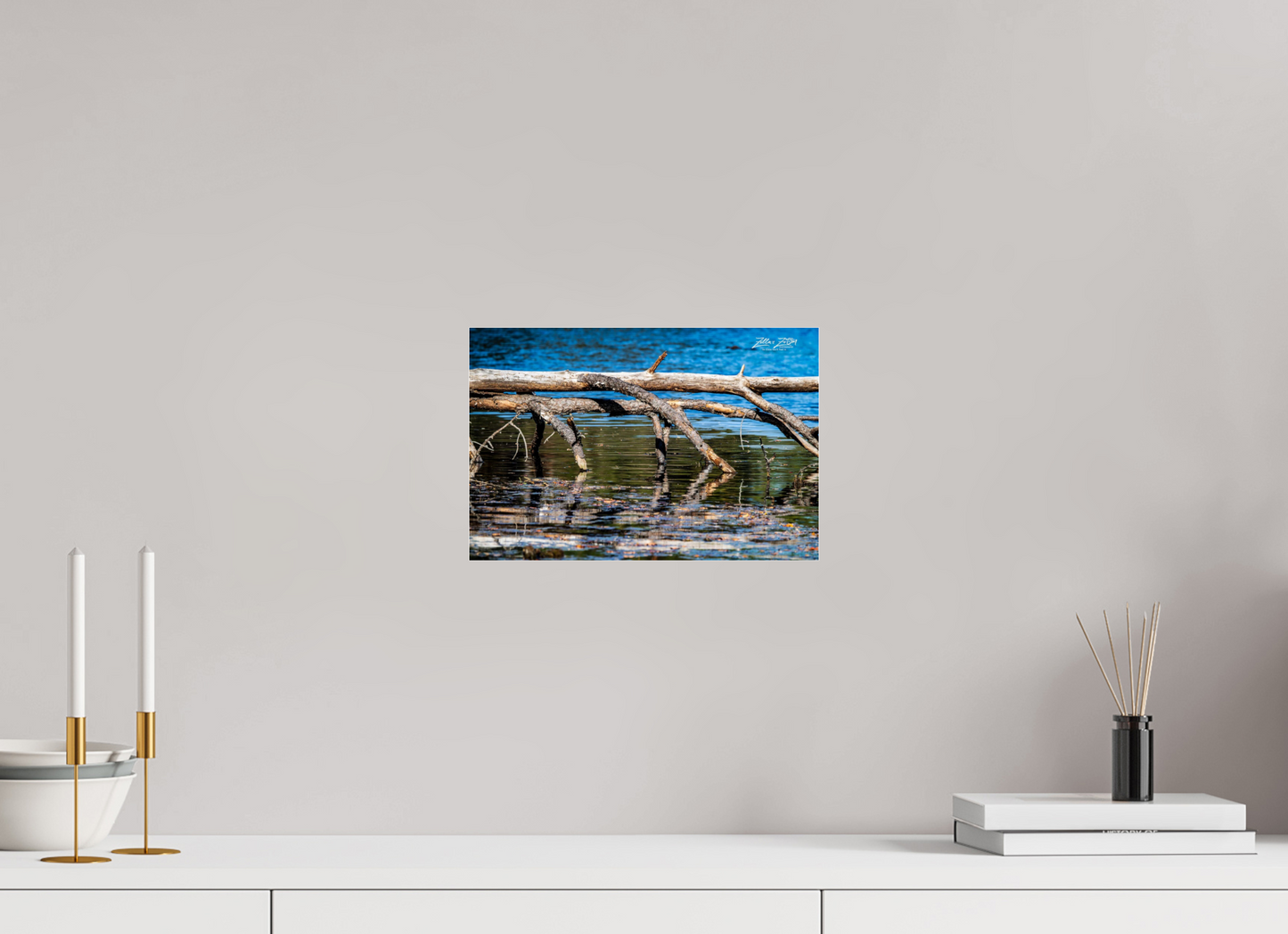 12 x 8″, Photo Print Under Acrylic Glass Zillas Zoom Image 214