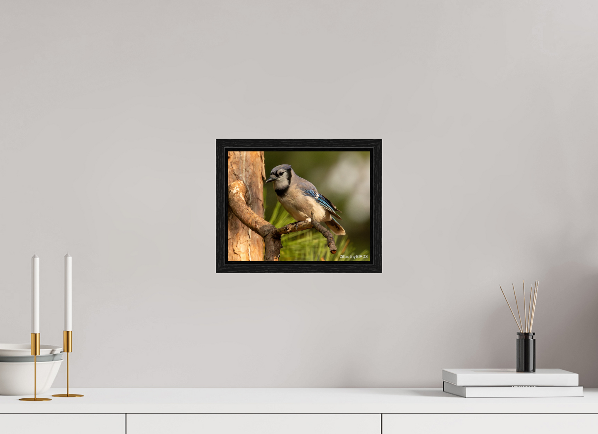 10.4 x 8″, Floater Frame Zillas Zoom Image 387