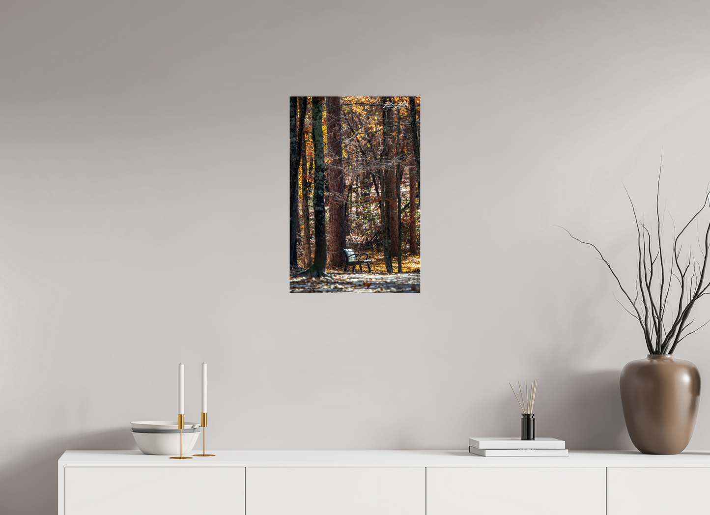 16 x 24″, Photo Print Under Acrylic Glass Zillas Zoom Image 259