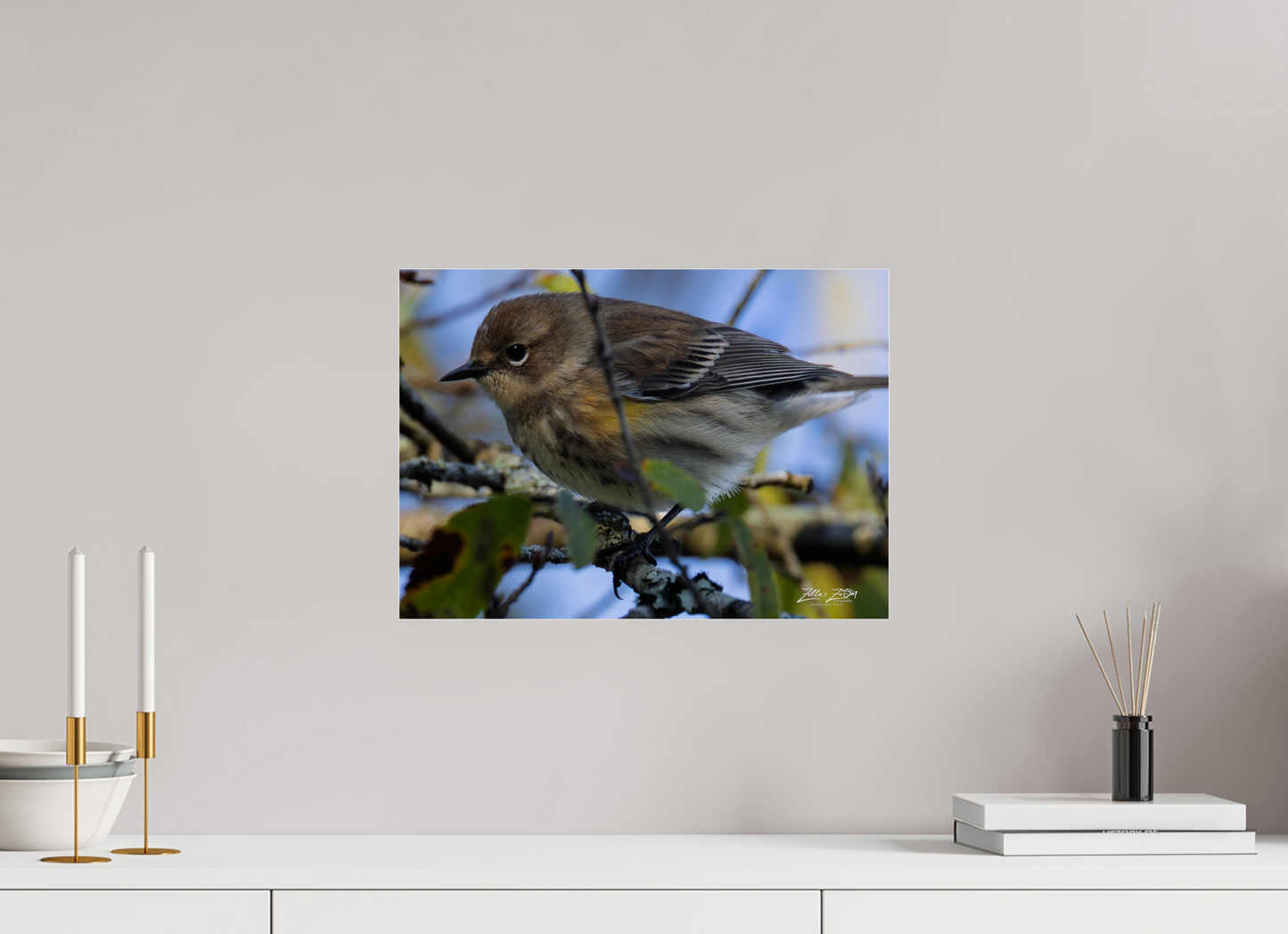 16.8 x 12″, Photo Print Under Acrylic Glass Zillas Zoom Image 357