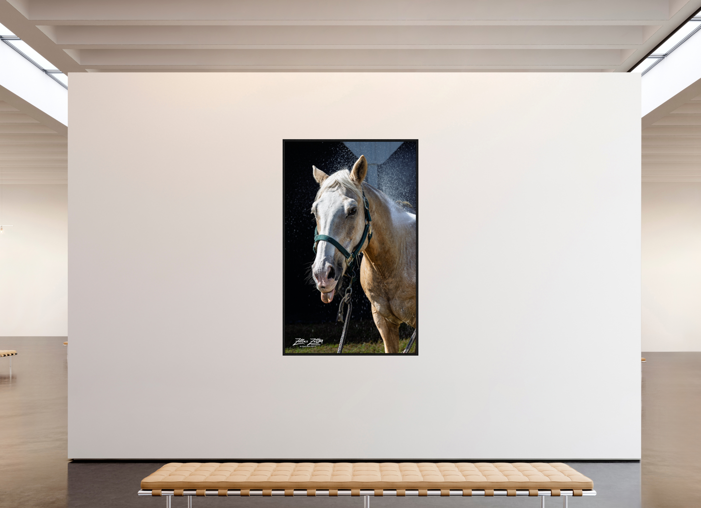 47 x 76″, Floater Frame Zillas zoom image 156