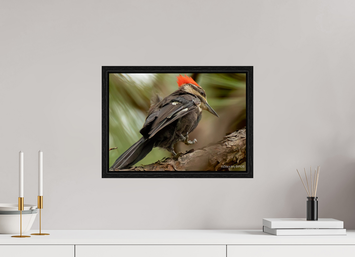 16.8 x 12″, Floater Frame Zillas Zoom Image 341