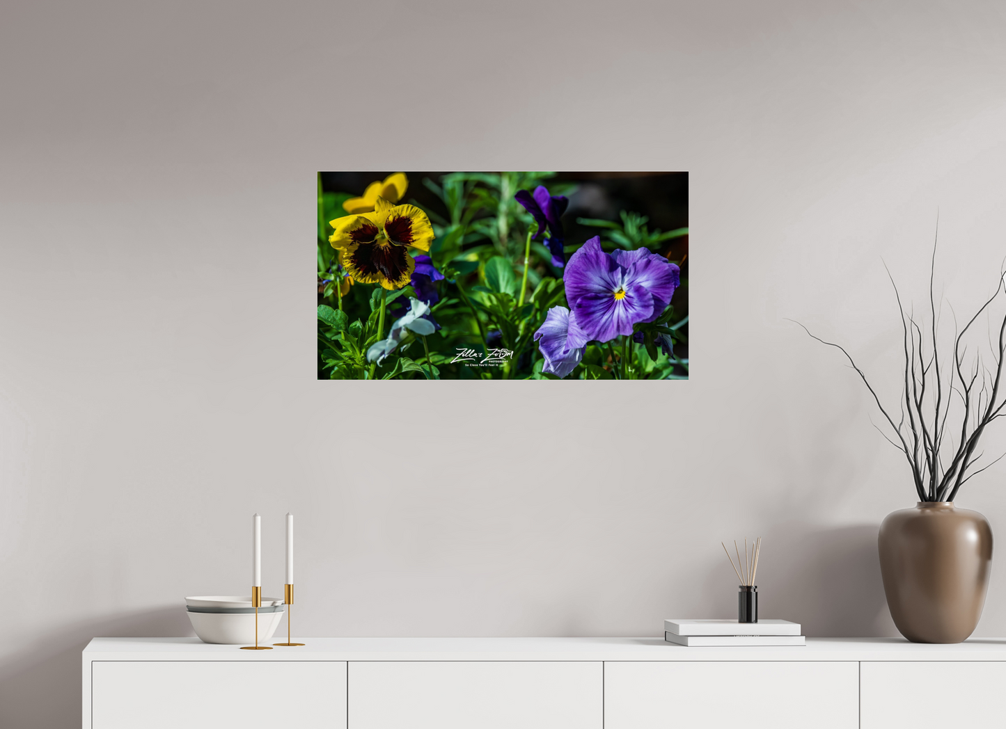32 x 18″, Photo Print Under Acrylic Glass Zillas Zoom Image 91