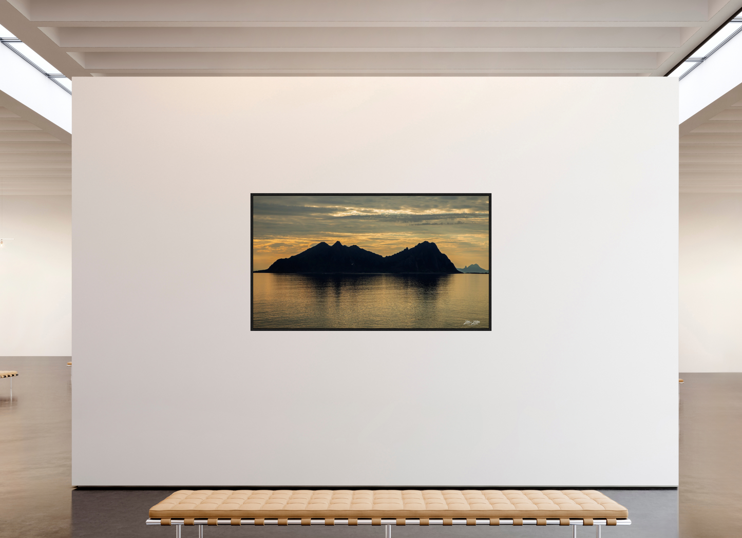 80 x 45″, Floater Frame Zillas Zoom Image 189