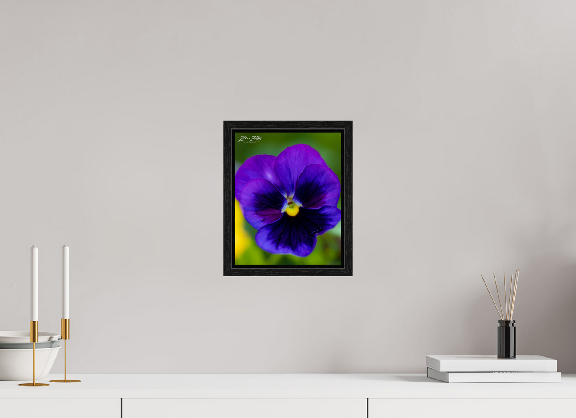 8 x 10″, Floater Frame Zillas Zoom Image 117