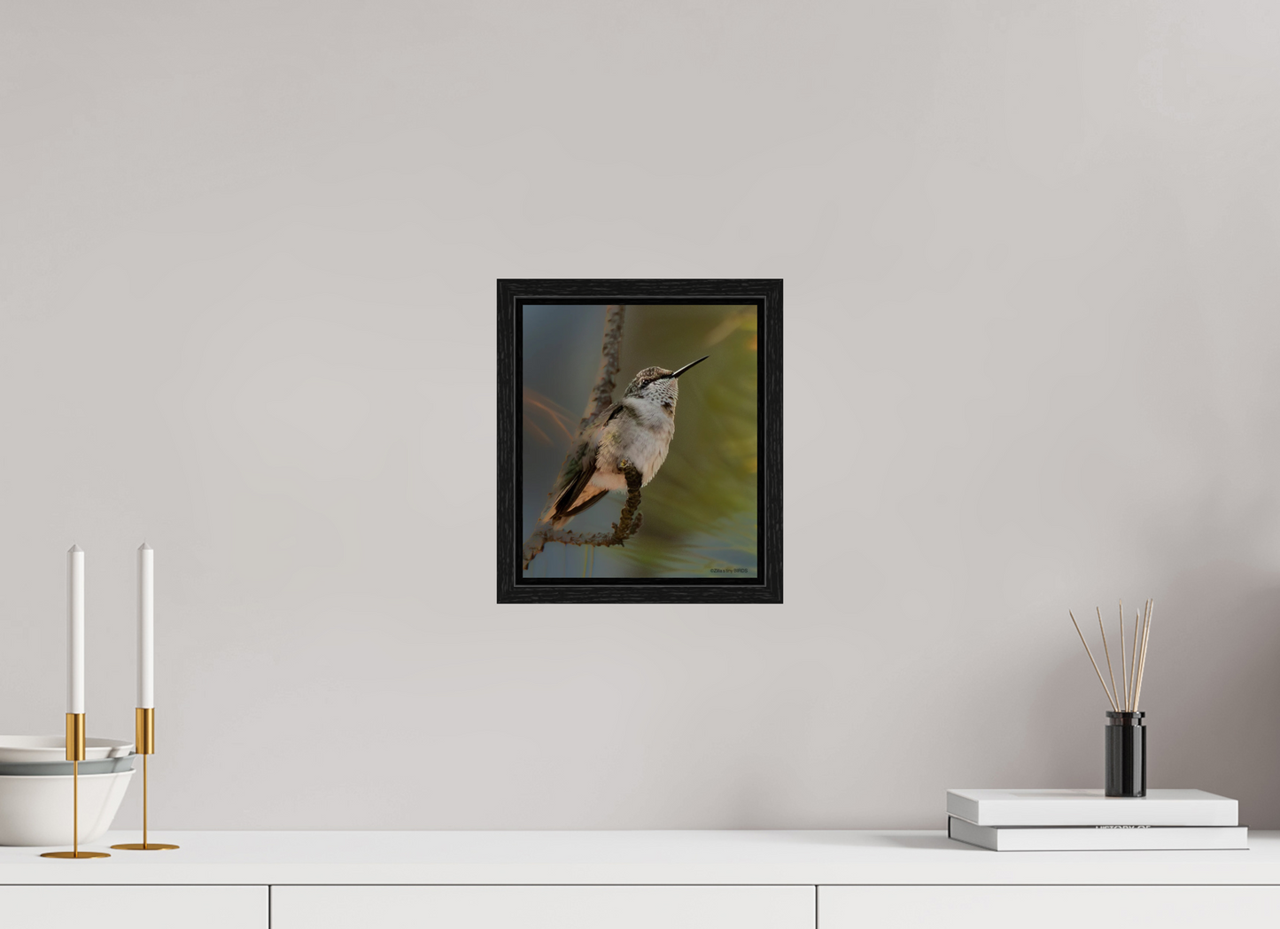 8 x 9.3″, Floater Frame Zillas Zoom Image 499