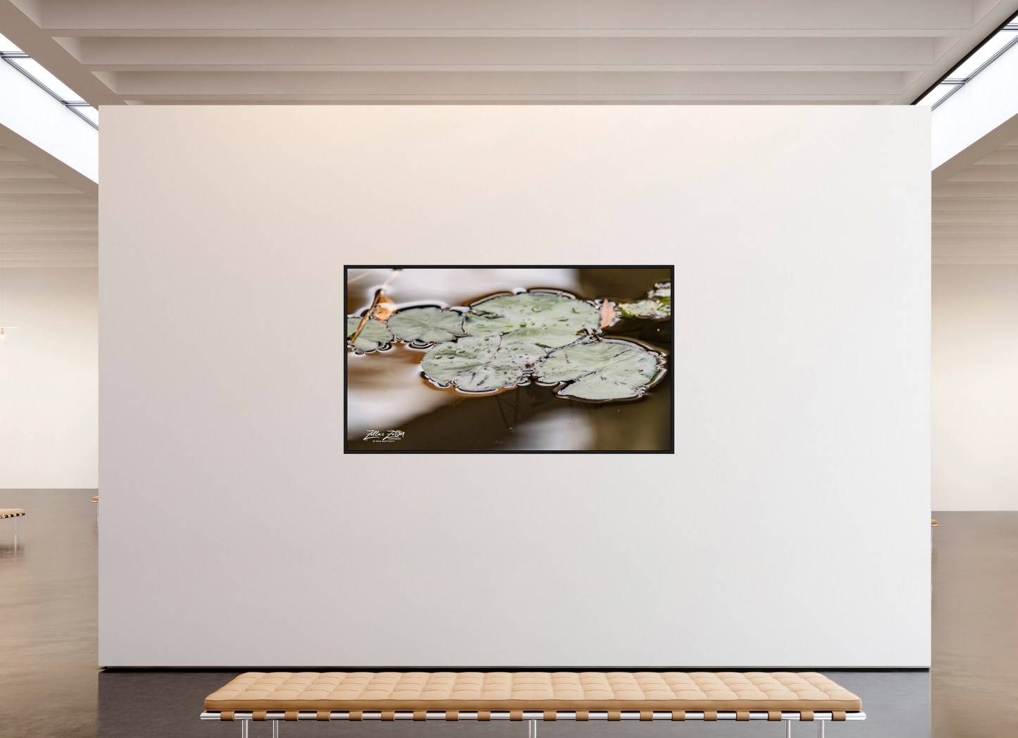 80 x 45″, Floater Frame Zillas Zoom Image 89