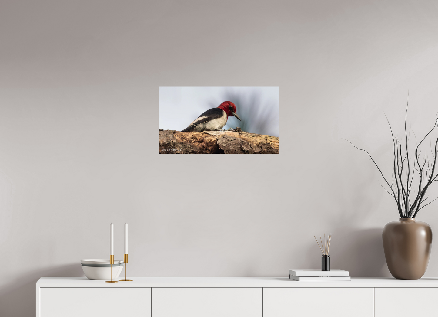 24 x 13.5″, Photo Print On Fuji Crystal DP II Zillas Zoom Image 391