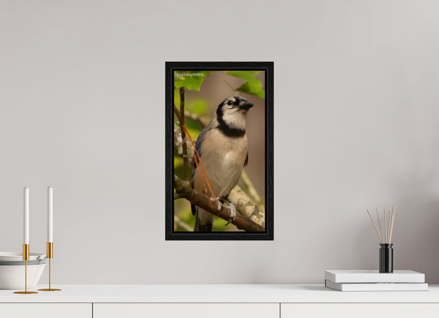 9 x 16″, Floater Frame Zillas Zoom Image 493