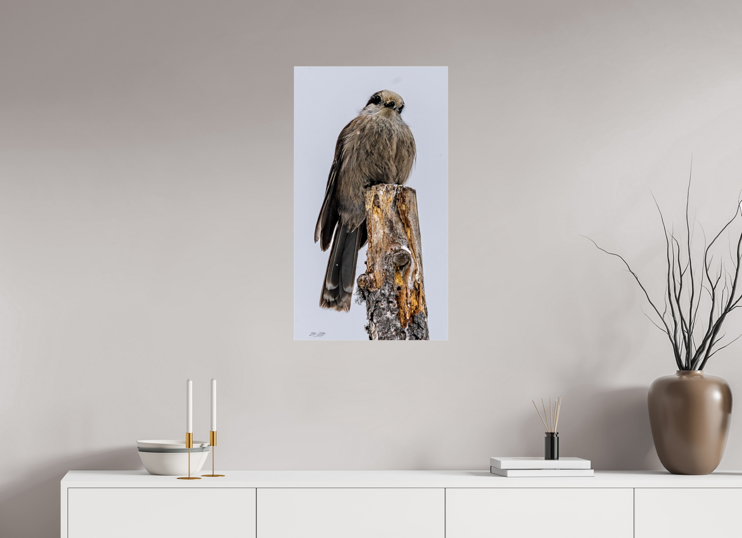 18 x 32″, Photo Print Under Acrylic Glass Zillas Zoom Image 464