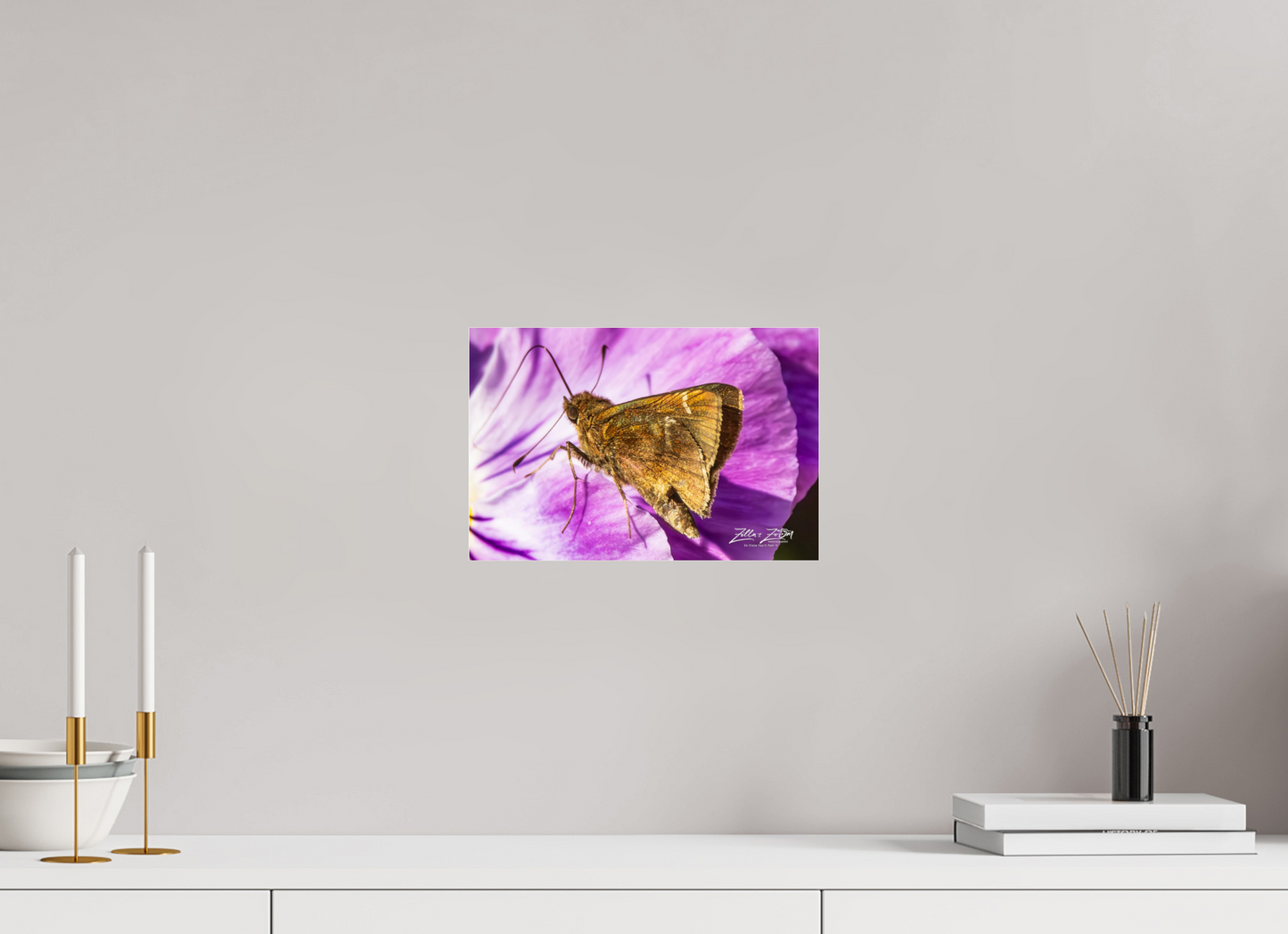 12 x 8″, Photo Print Under Acrylic Glass Zillas Zoom Image 62