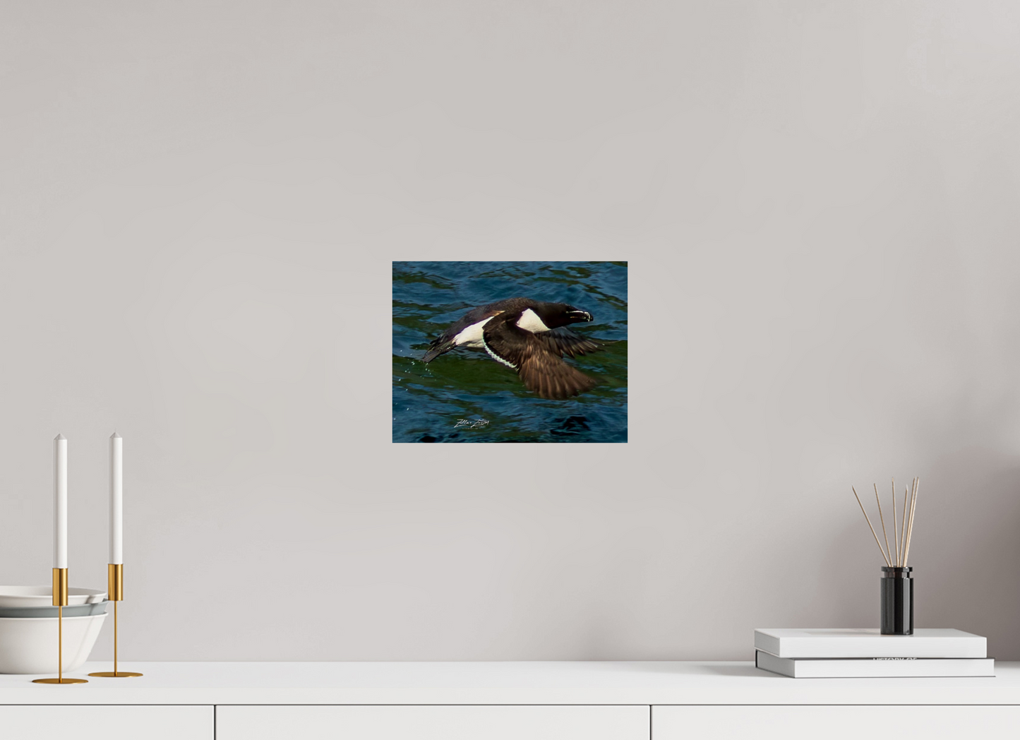 10.4 x 8″, Photo Print On Fuji Crystal DP II Zillas Zoom Image 332
