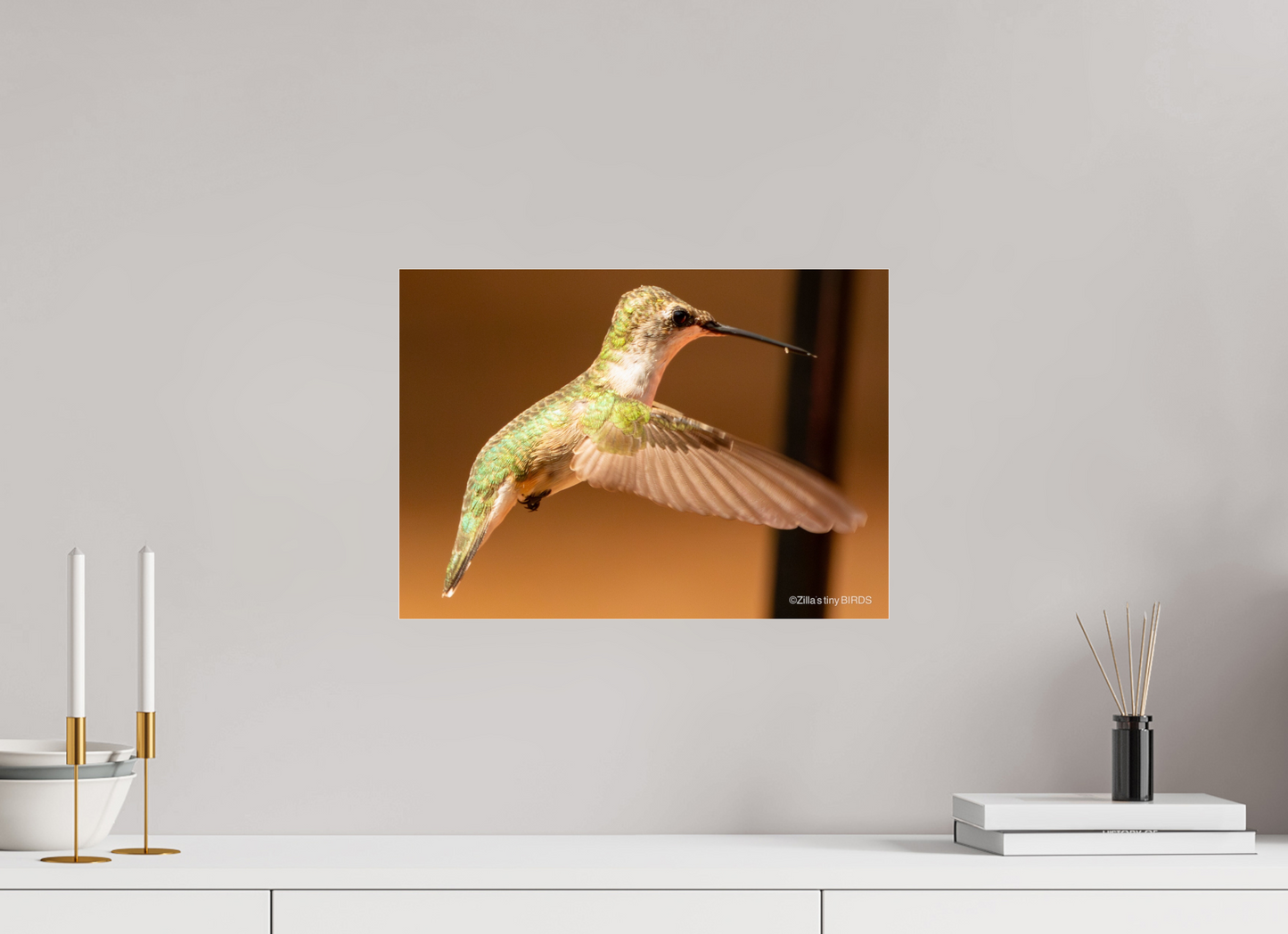 16.8 x 12″, Photo Print Under Acrylic Glass Zillas Zoom Image 351