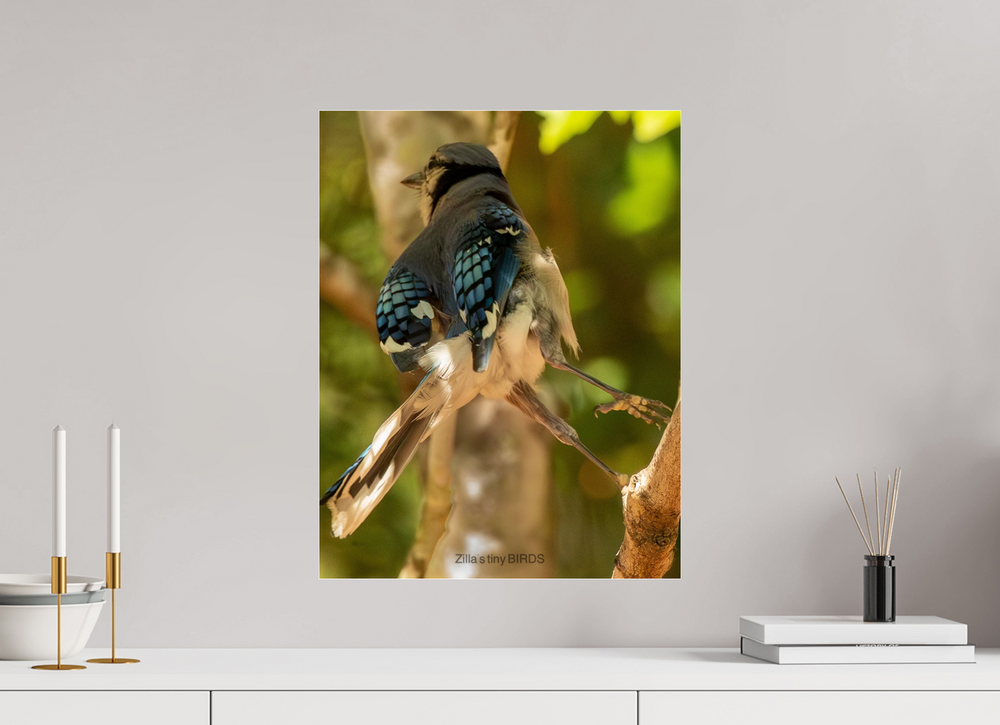 16 x 20.7″, Photo Print Under Acrylic Glass Zillas Zoom Image 518